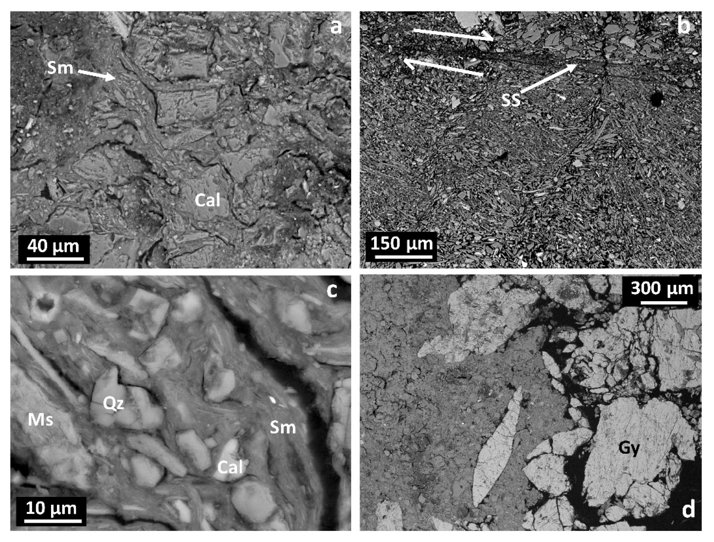 Minerals 12 01255 g008