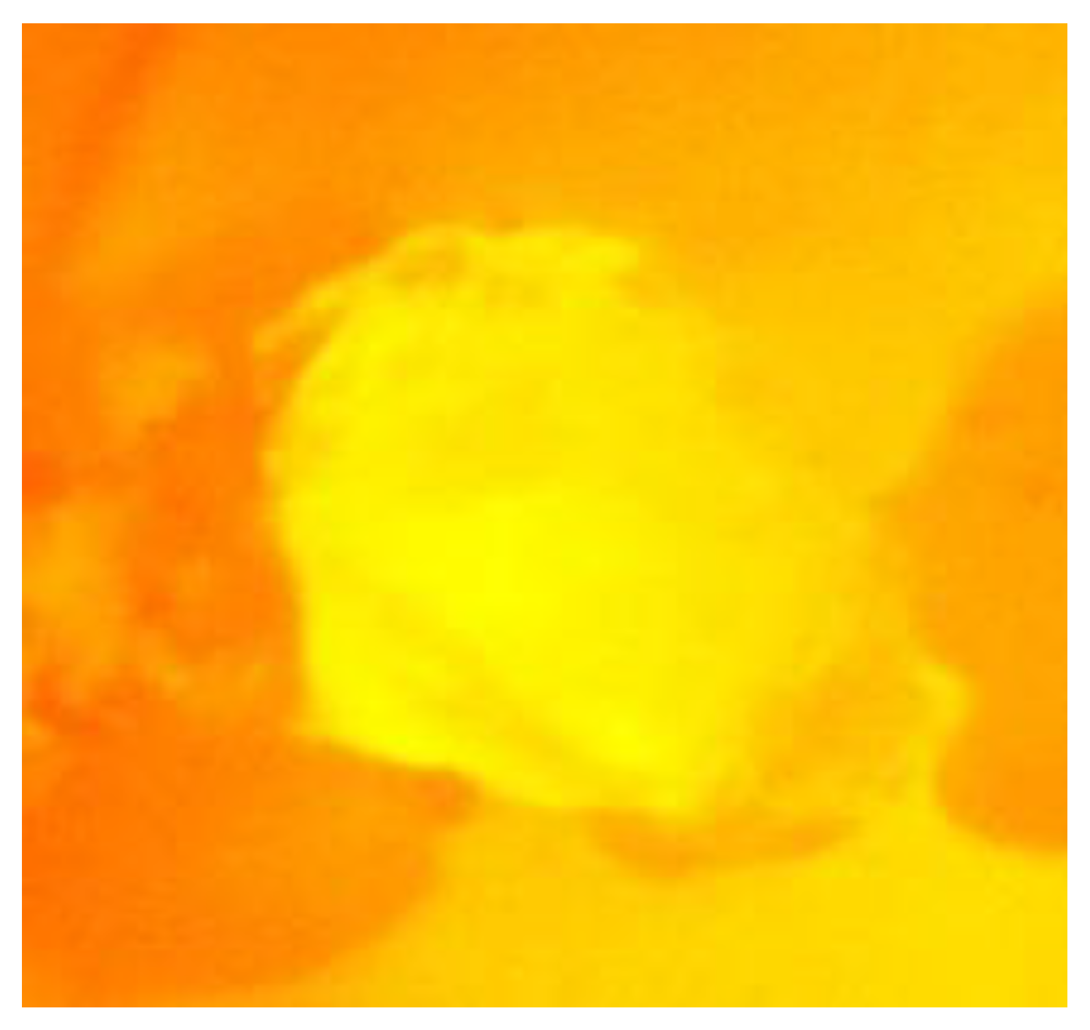 Minerals 12 01286 g011 550