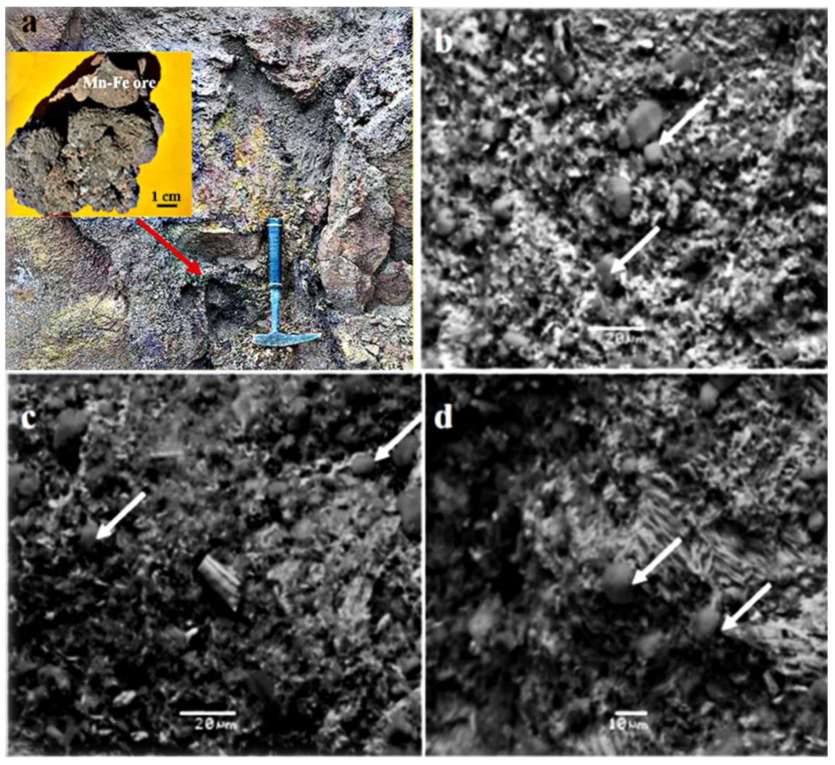 Minerals 12 01303 g007 Minerals 12 01303 g007