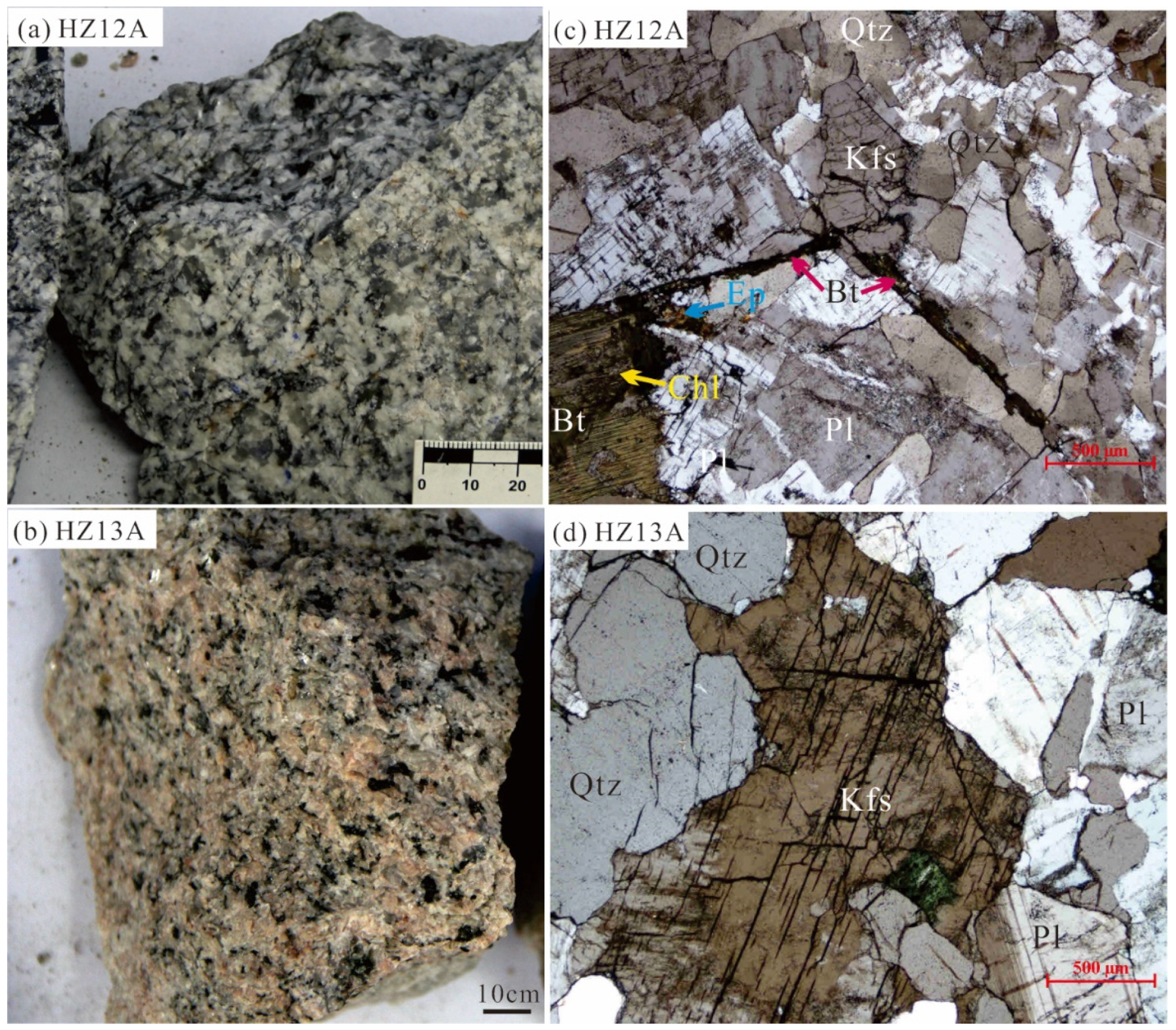 YON専用 MUGEN Order System