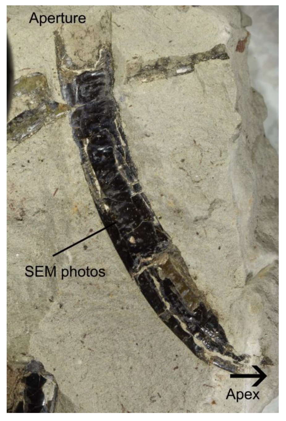 Minerals 12 01316 g004 Minerals 12 01316 g004