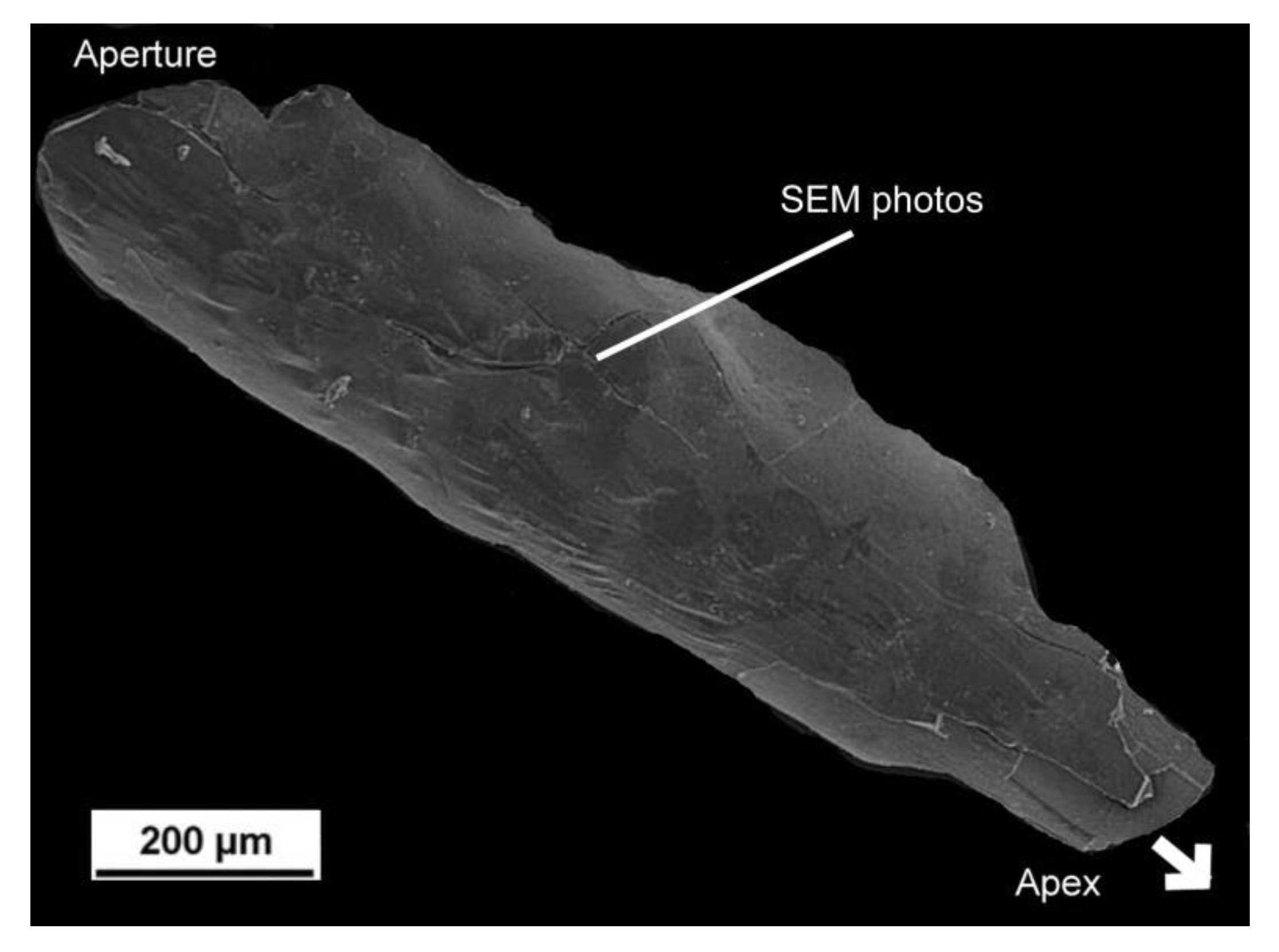 Minerals 12 01316 g010 Minerals 12 01316 g010
