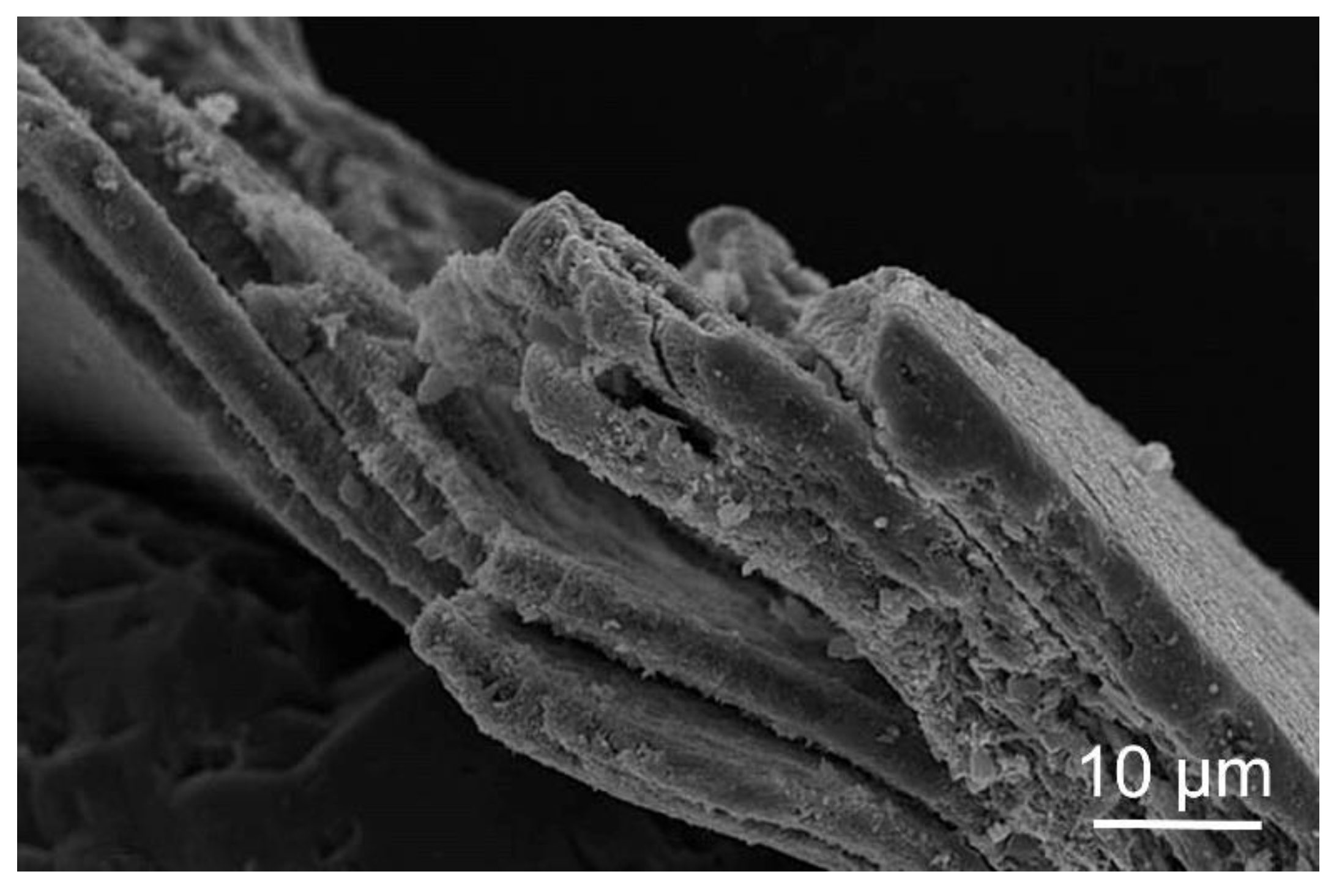 Minerals 12 01316 g011 Minerals 12 01316 g011