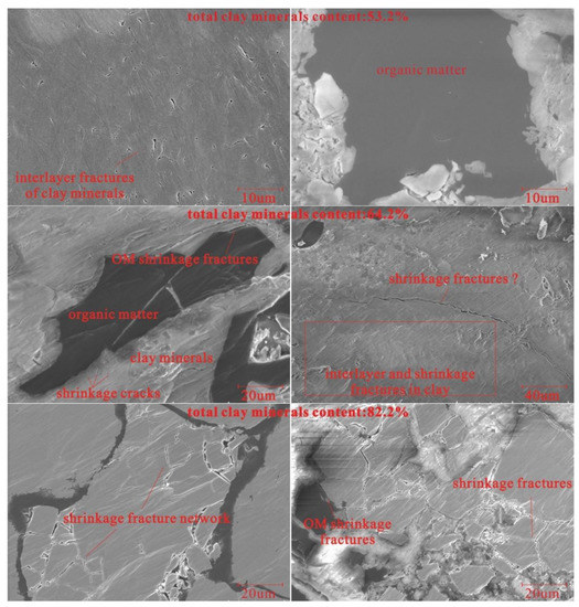 a-z様 Lithospheric deformation and seismotectonics in the