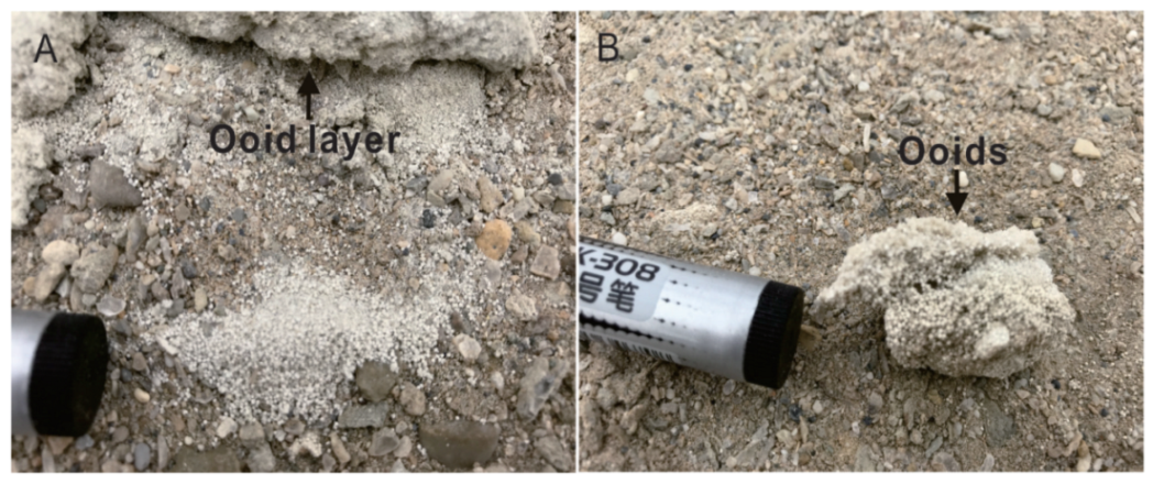 Minerals 12 01400 g002 Minerals 12 01400 g002