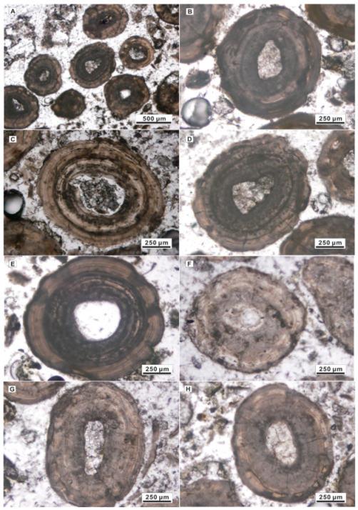Minerals 12 01400 g004 Minerals 12 01400 g004
