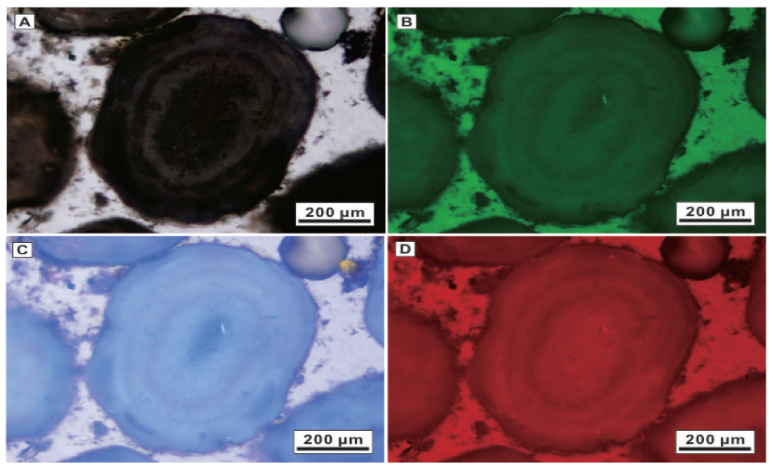 Minerals 12 01400 g006 Minerals 12 01400 g006