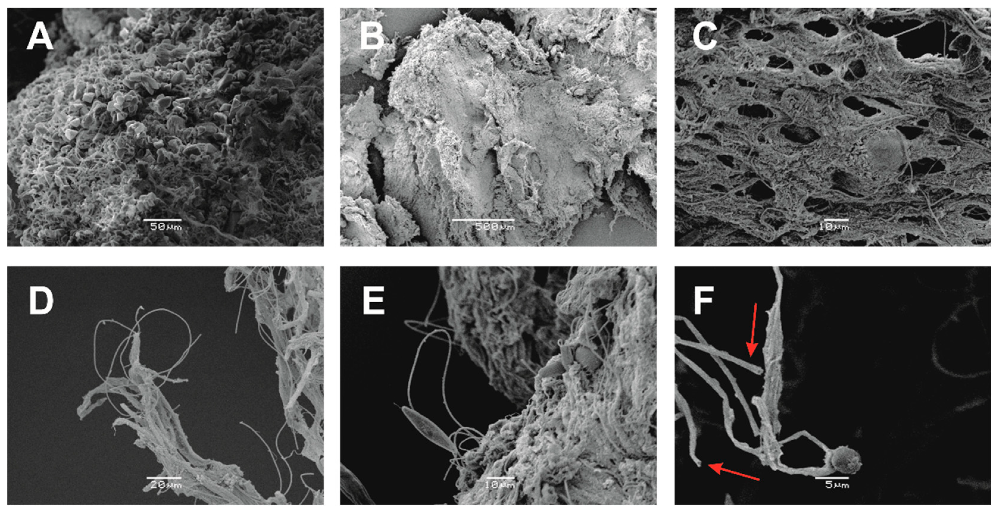Minerals 12 01408 g007 Minerals 12 01408 g007