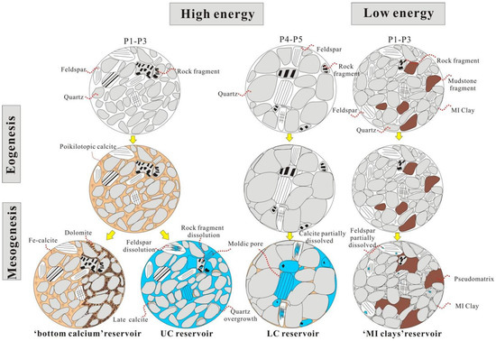 Microscopic Characteristics and Formation Mechanism of Effective