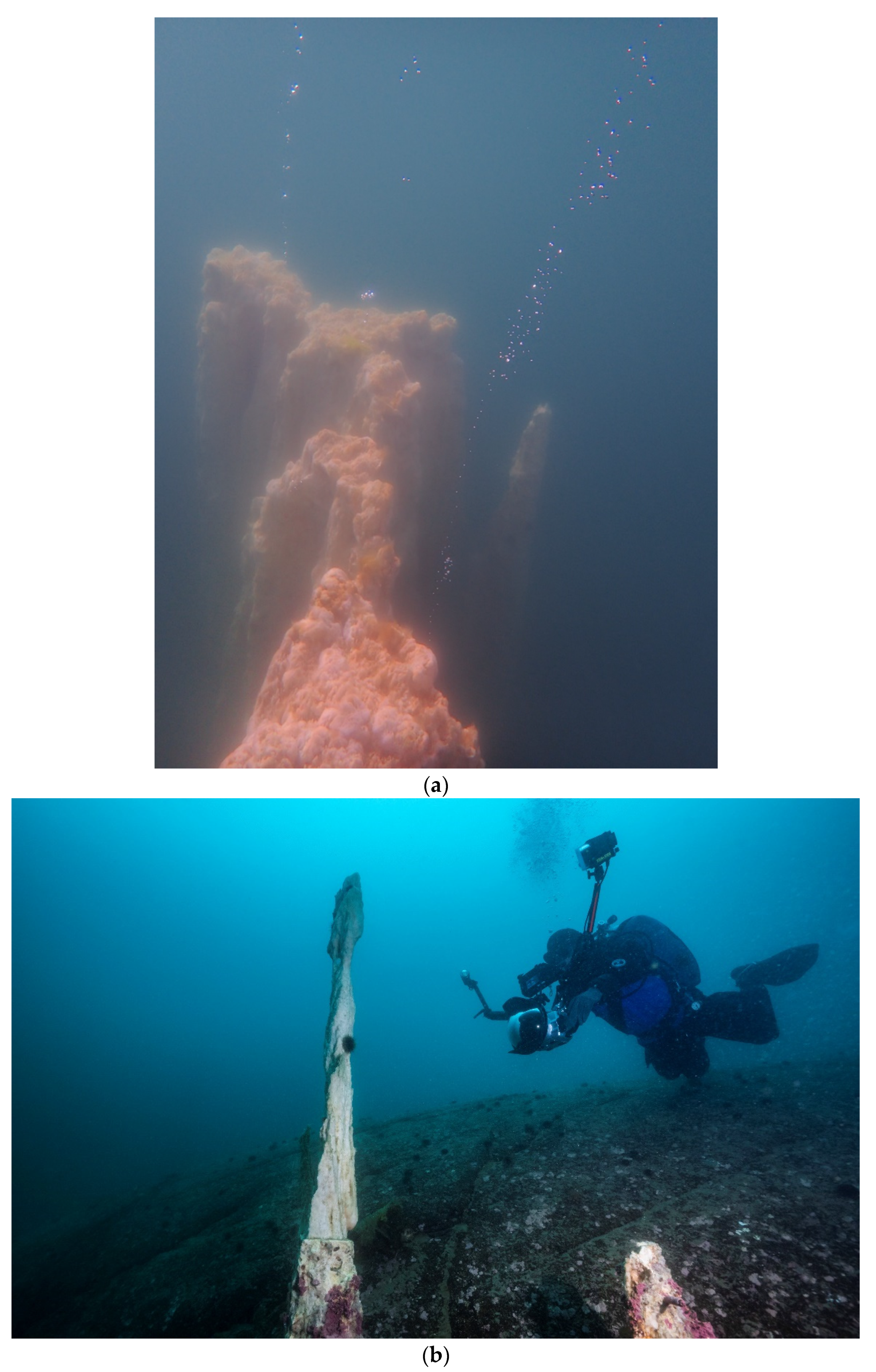 Minerals 12 01430 g004