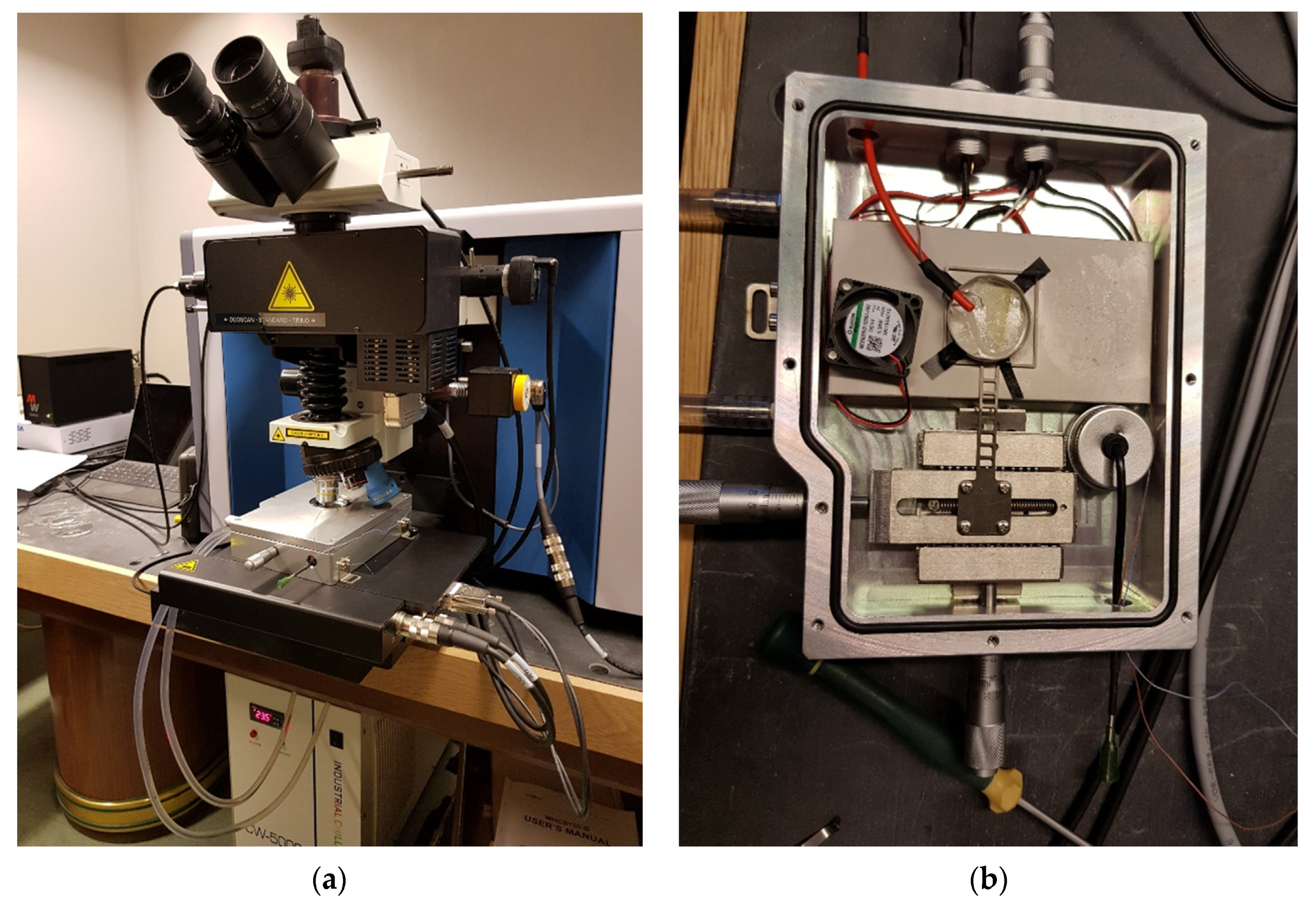 Minerals 12 01430 g005