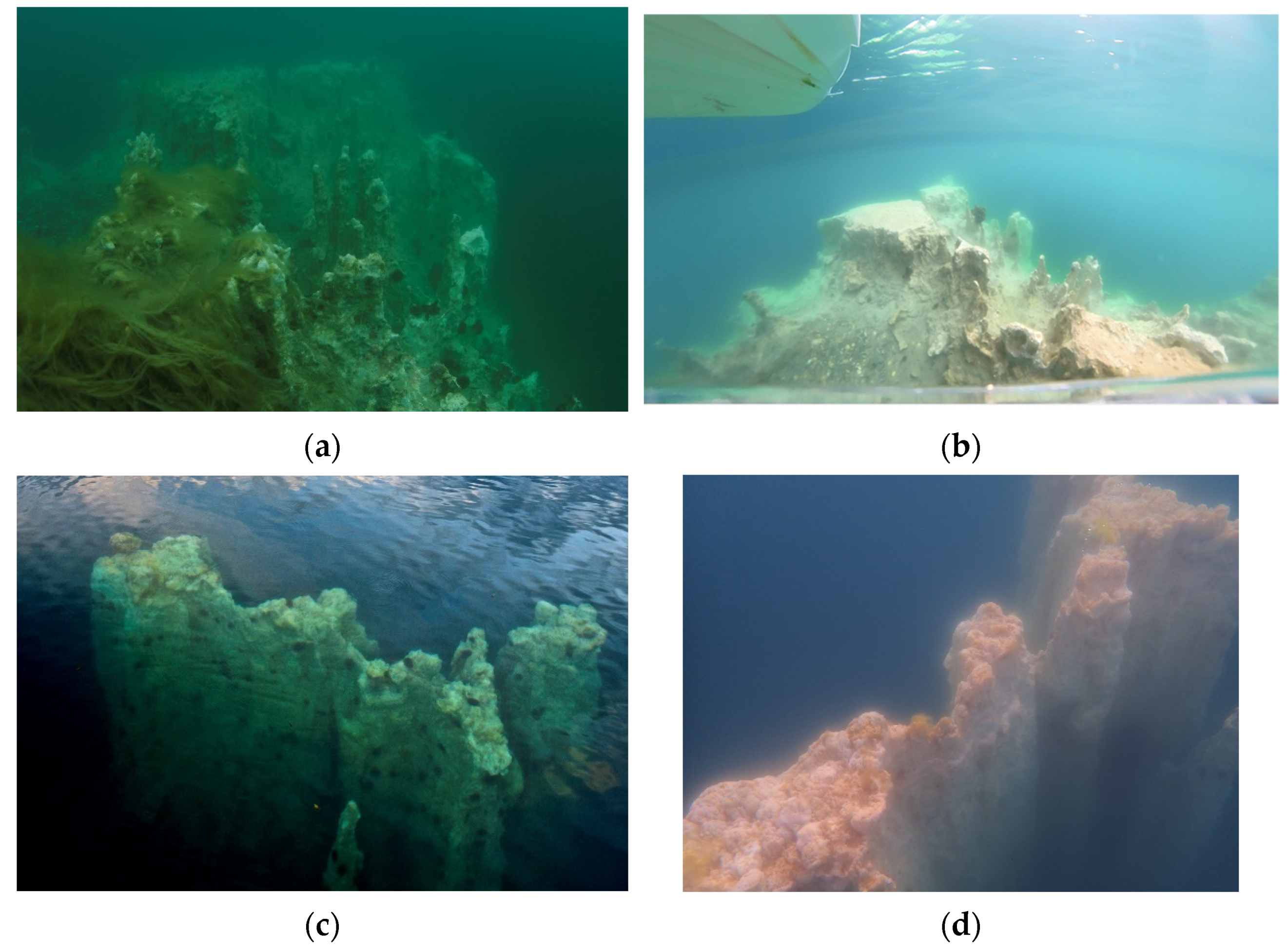 Minerals 12 01430 g010a