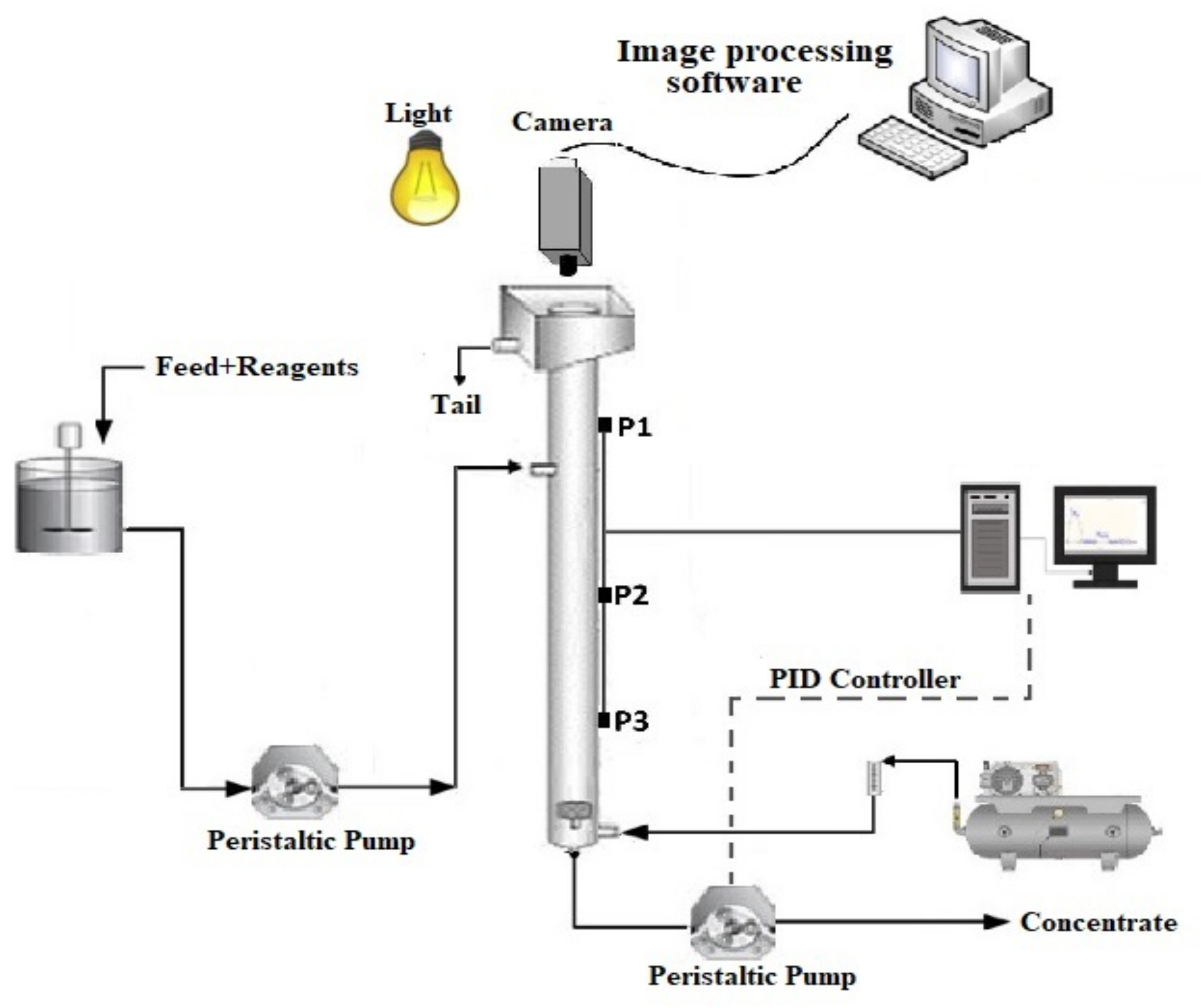 Minerals 12 01434 g002