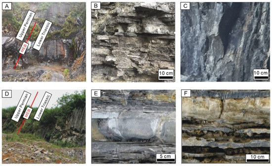 Characteristics of Calcium Isotopes at Different Water Depths and Their ...