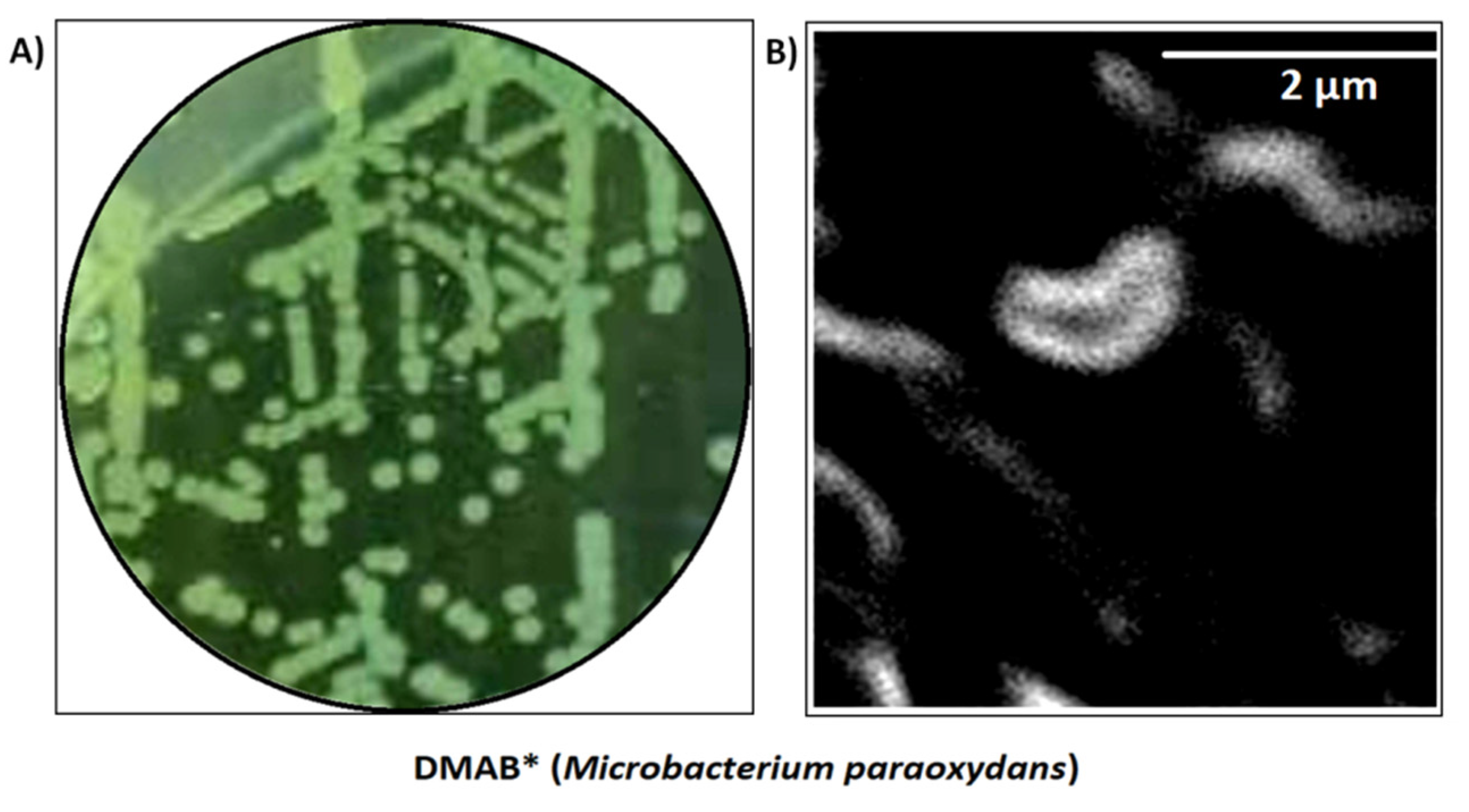 Minerals 12 01452 g002