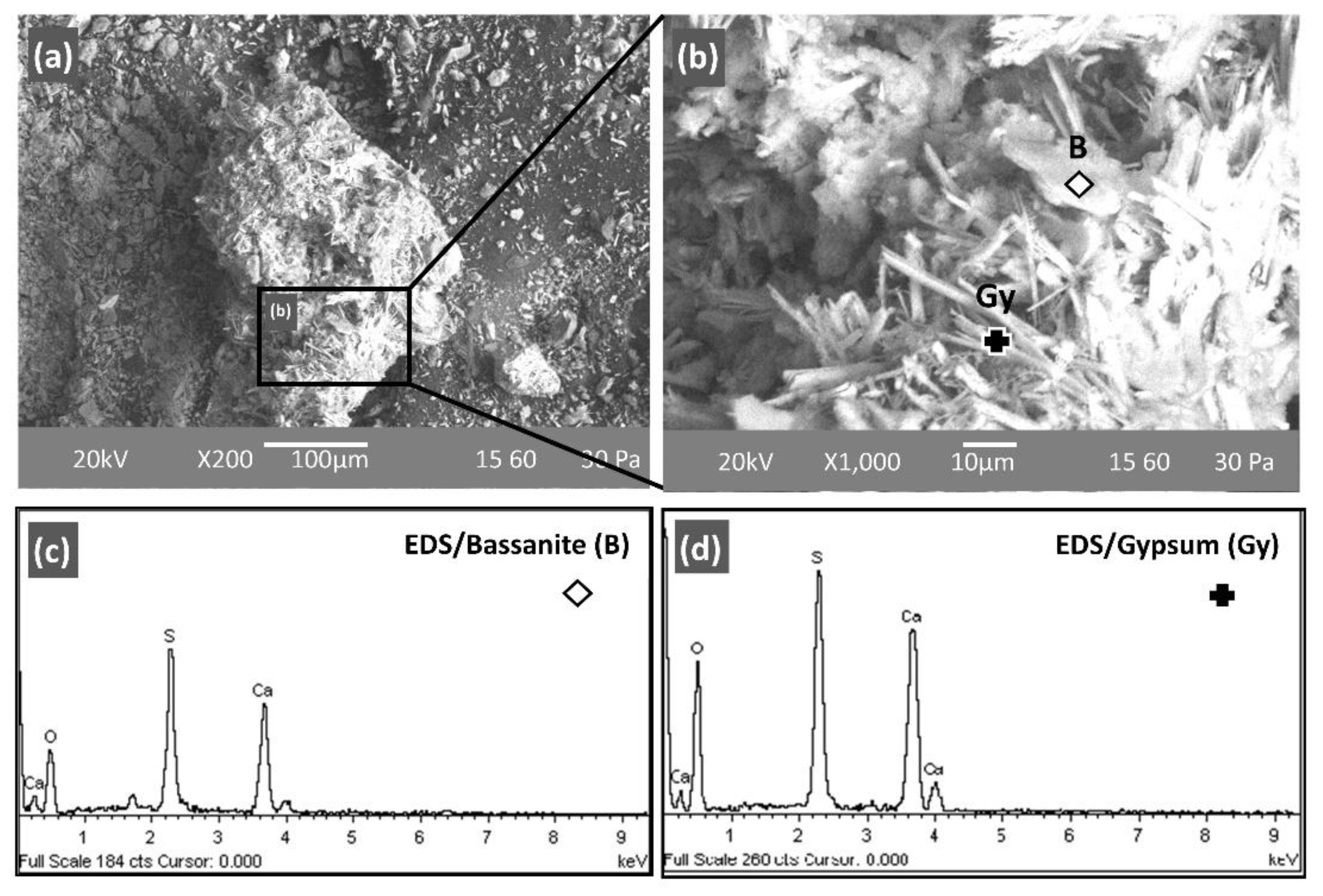 Minerals 12 01466 g005