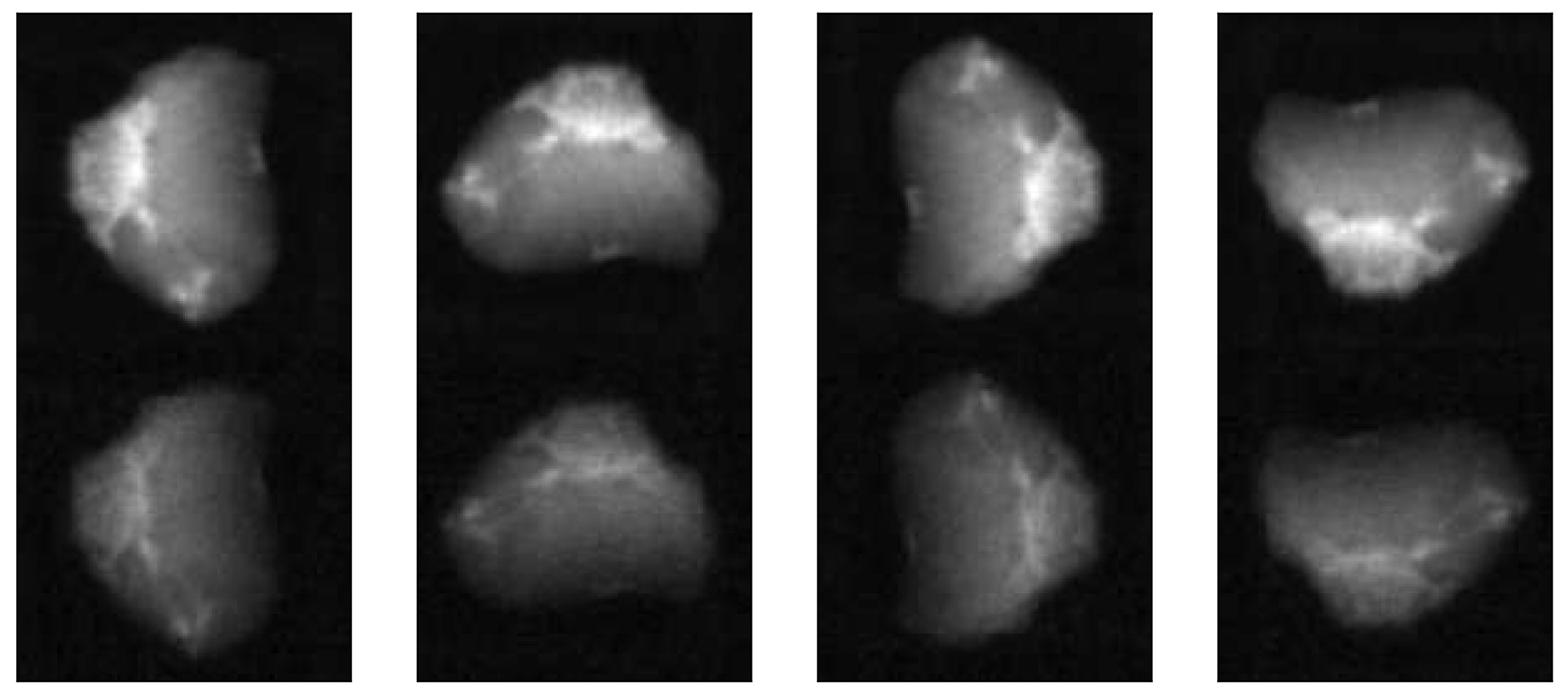 Minerals 12 01480 g001 Minerals 12 01480 g001