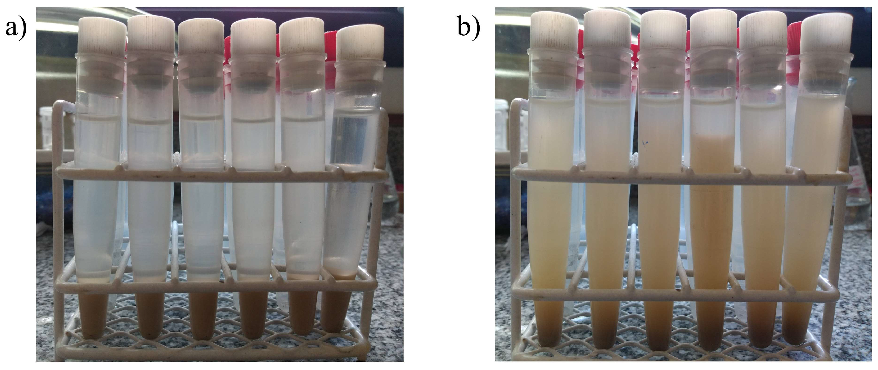 Minerals 12 01486 g001