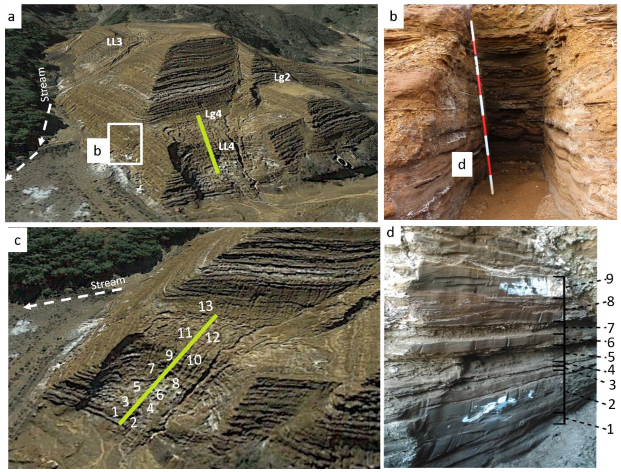 Minerals 12 01488 g004