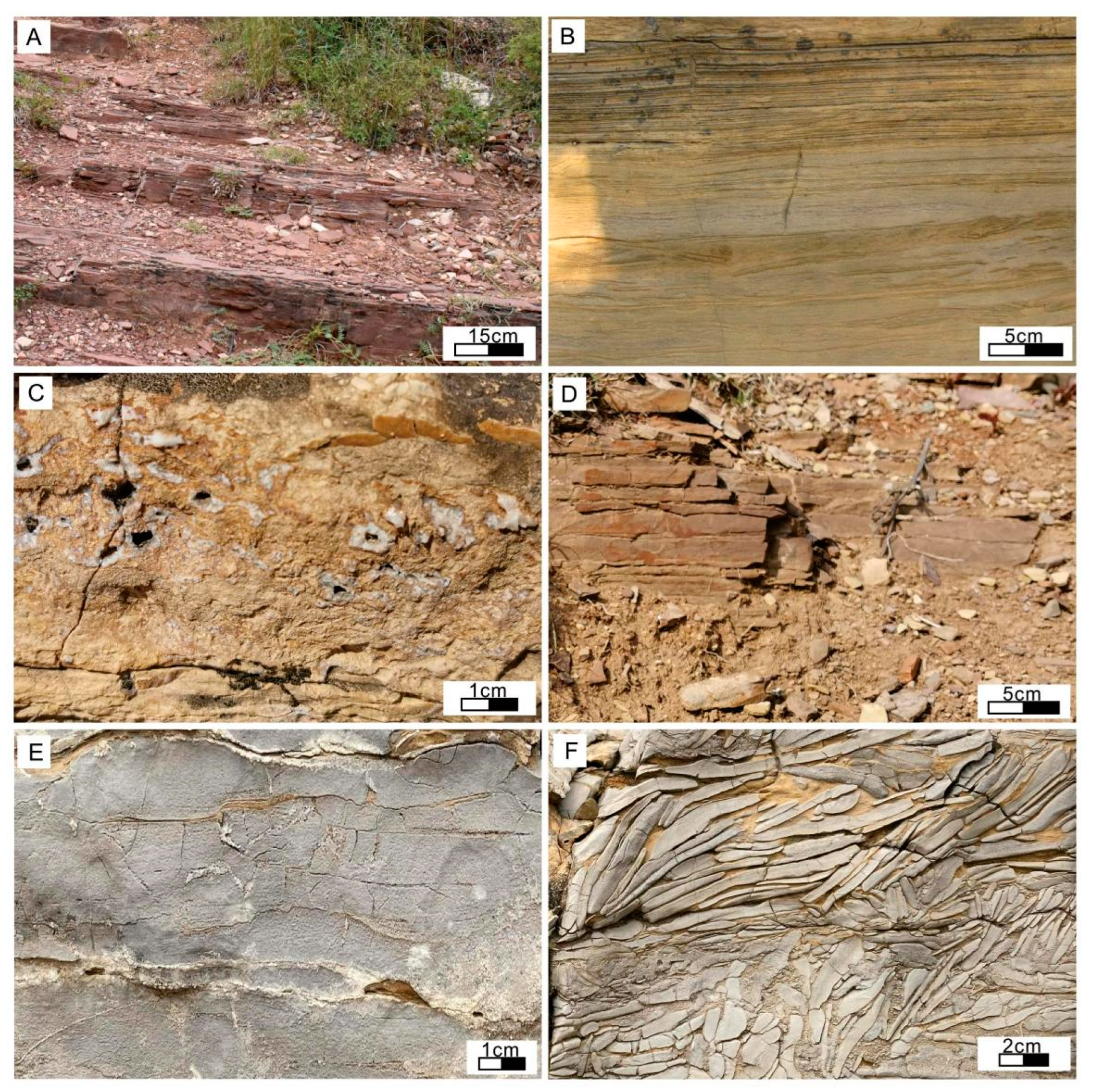 Minerals 12 01526 g004