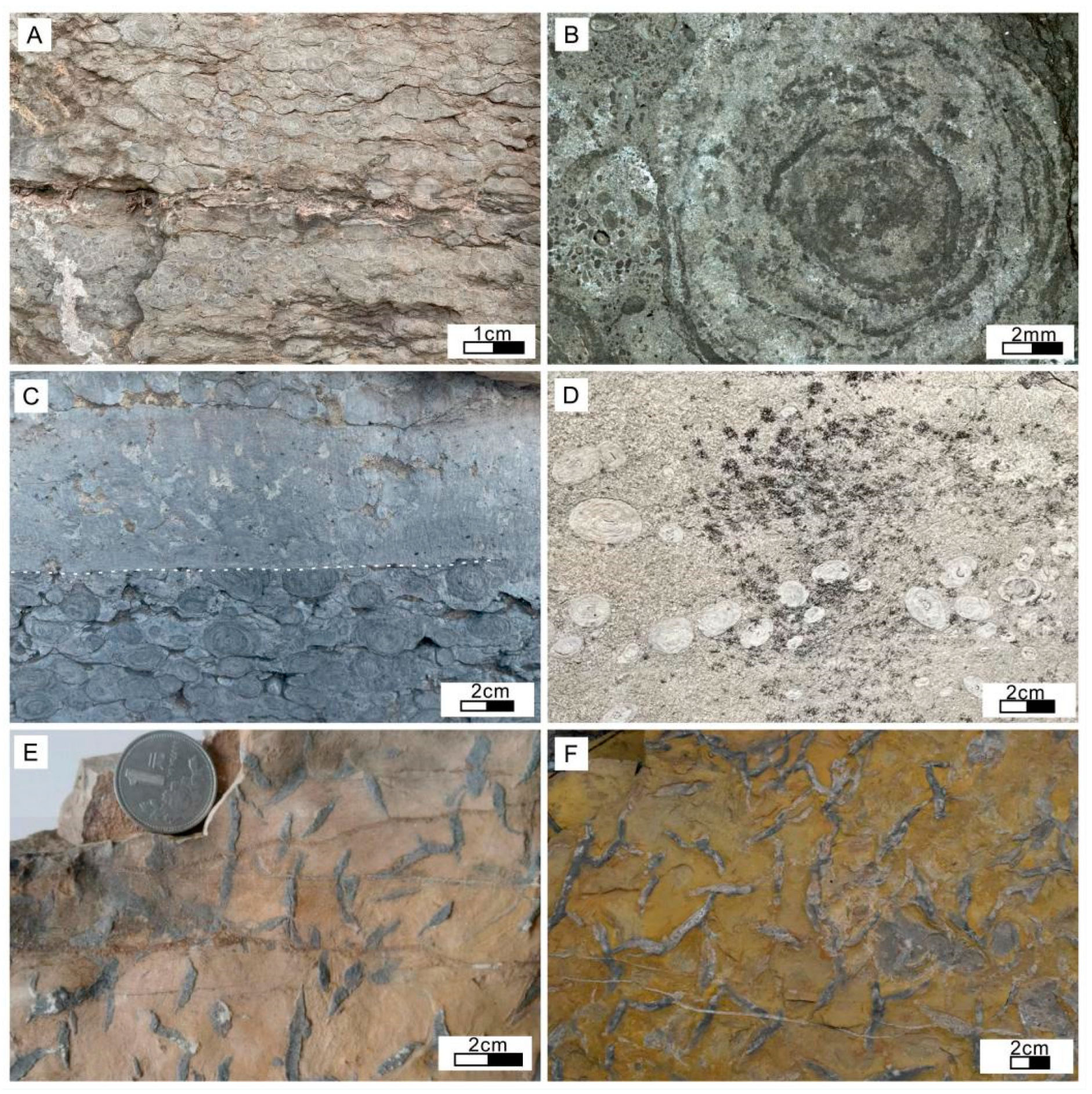 Minerals 12 01526 g006