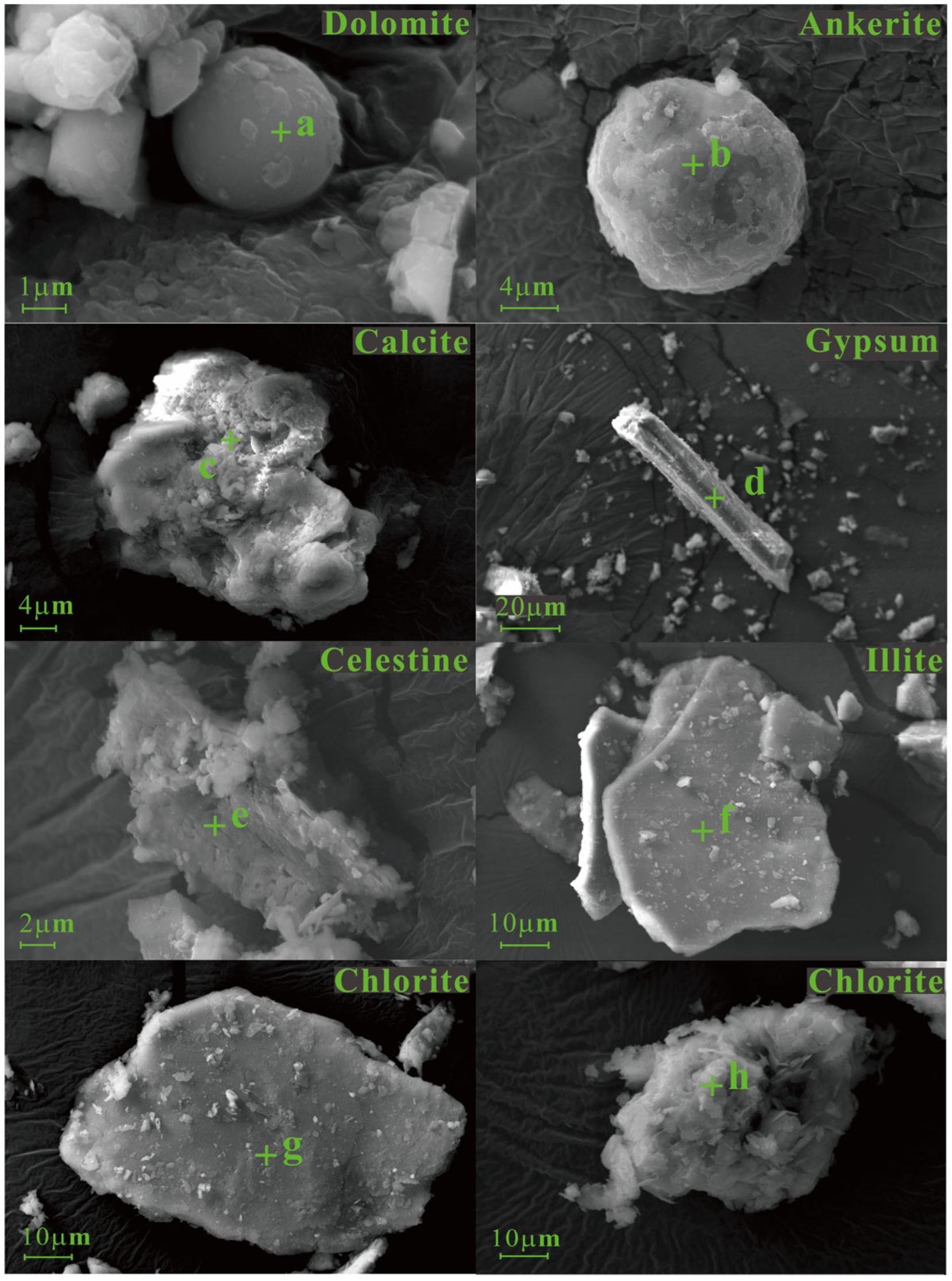 Minerals 12 01543 g003