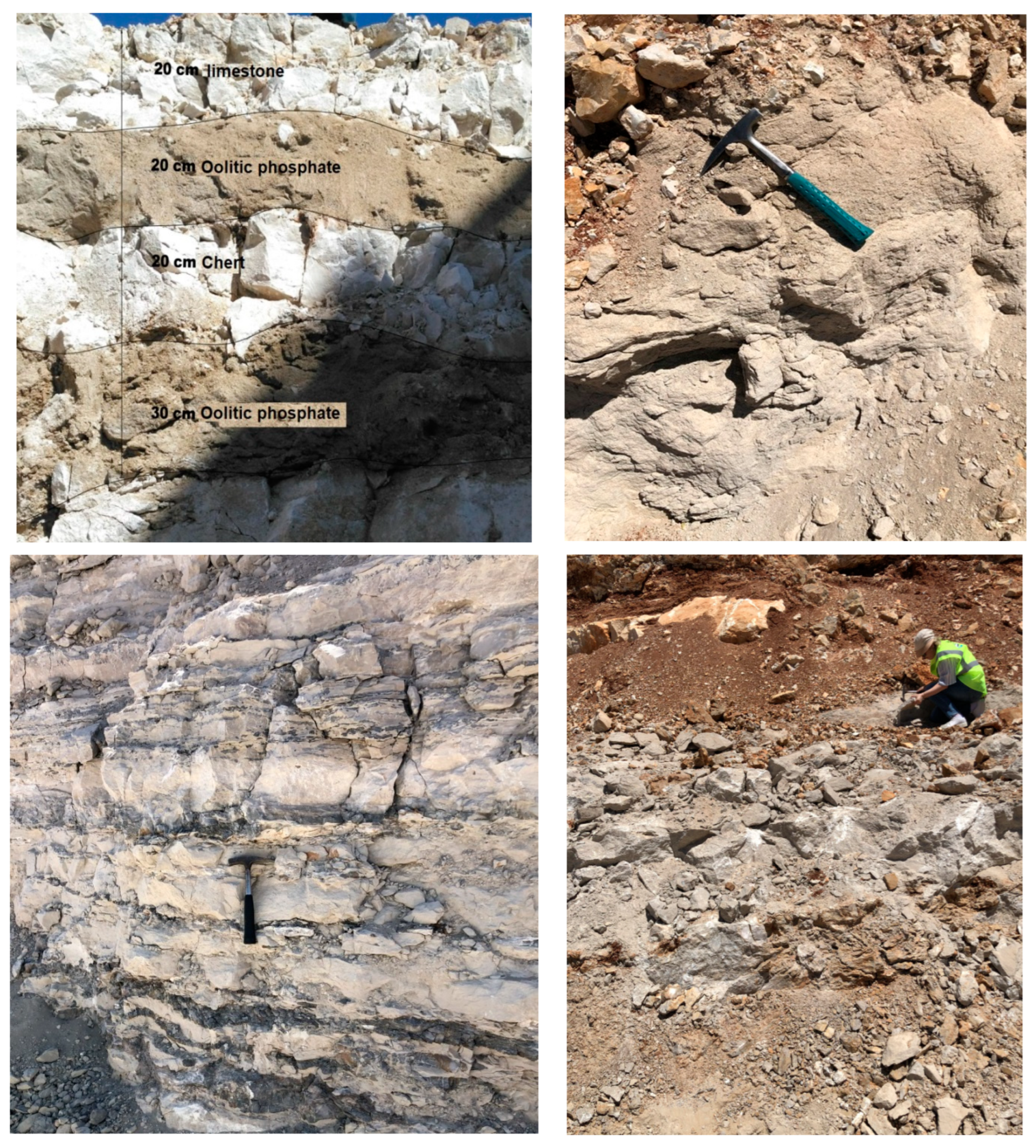 Minerals 12 01544 g004 Minerals 12 01544 g004