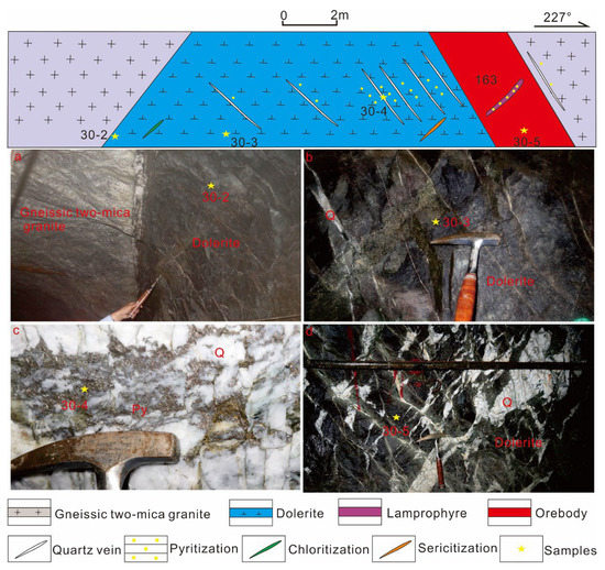 Geology, Pyrite Geochemistry and Metallogenic Mechanism of the Wulong Gold  Deposit in Liaodong Peninsula, North China Craton