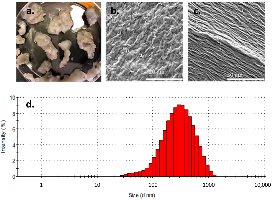Minerals 12 01556 g005