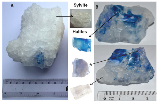 Use of the Far Infrared Spectroscopy for NaCl and KCl Minerals ...