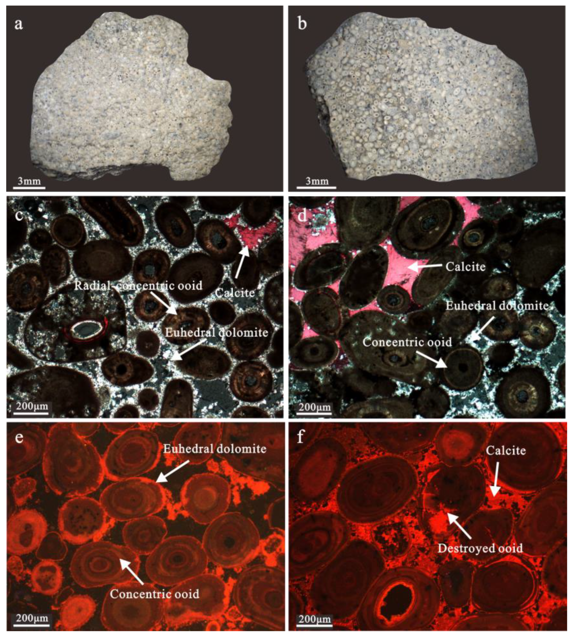 Minerals 12 01586 g004