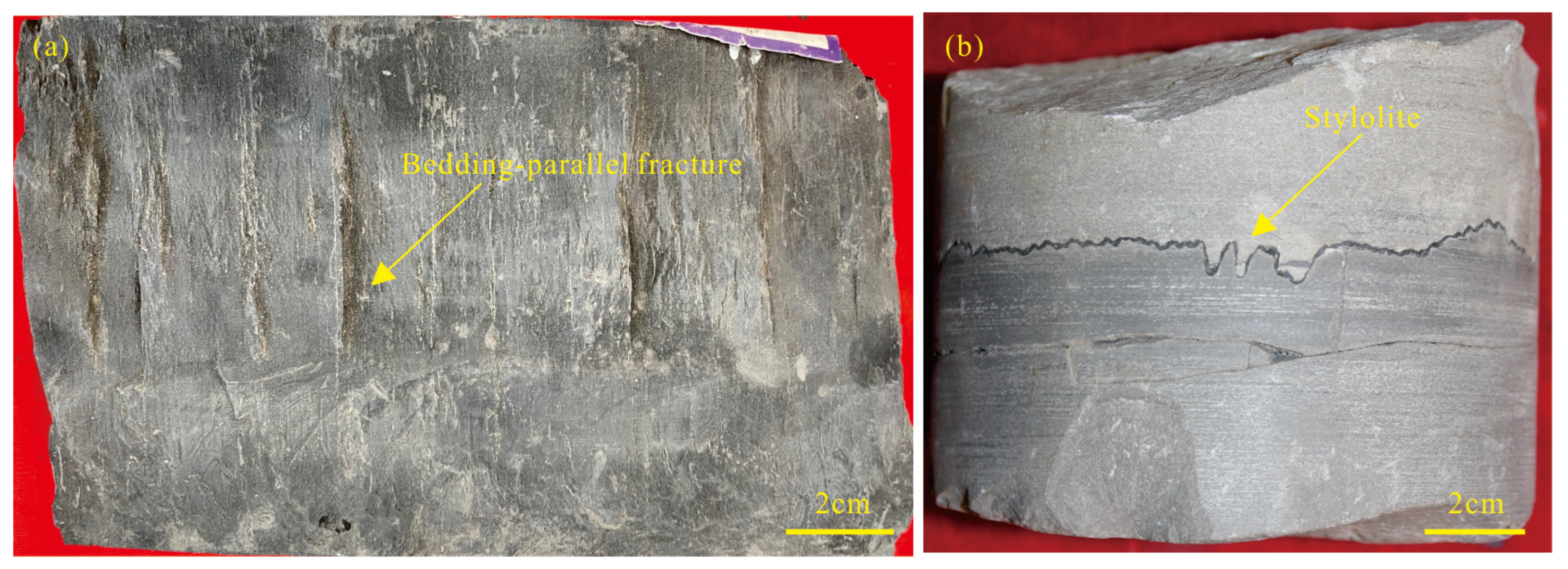 Minerals 12 01616 g003