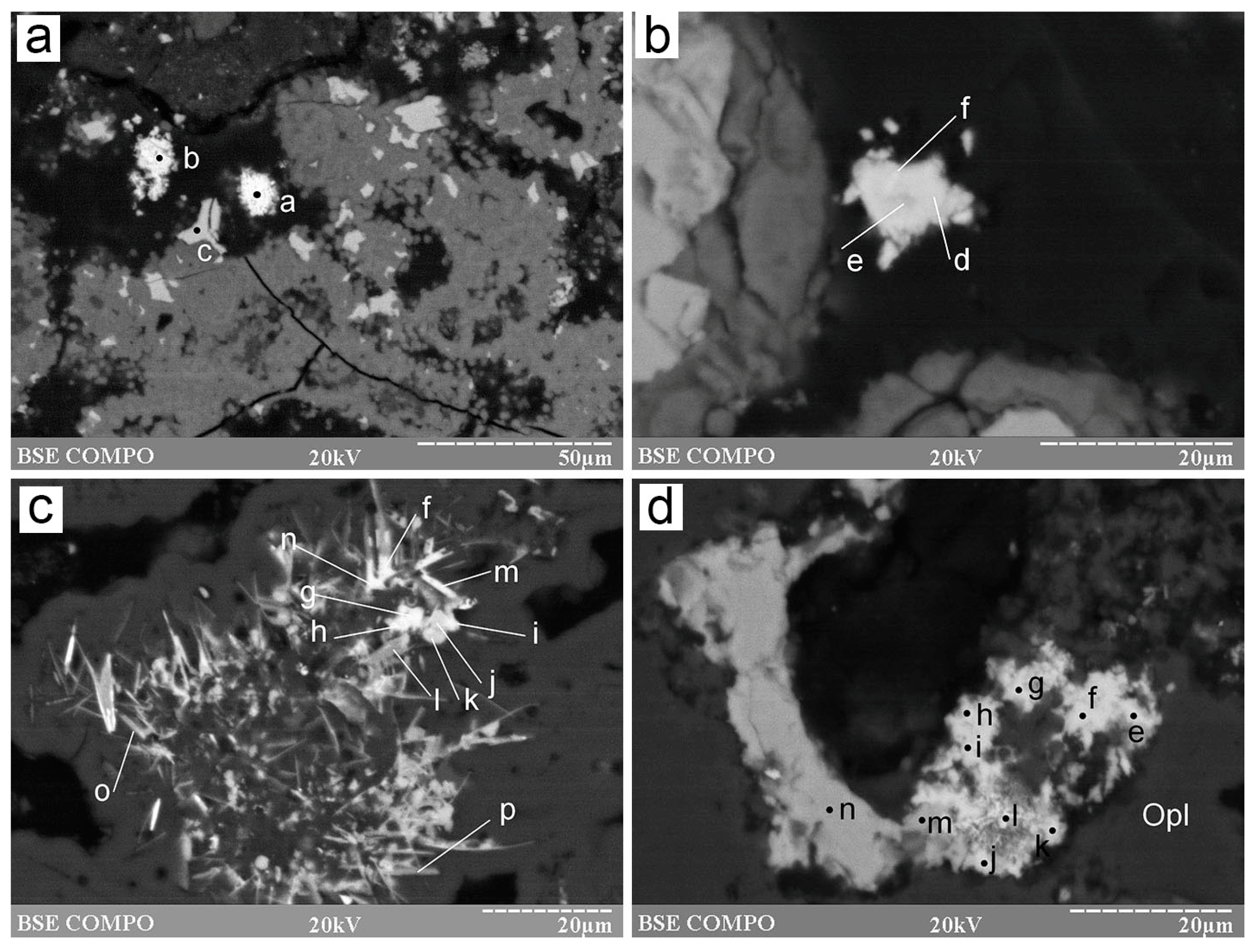 Minerals 12 01626 g005 Minerals 12 01626 g005