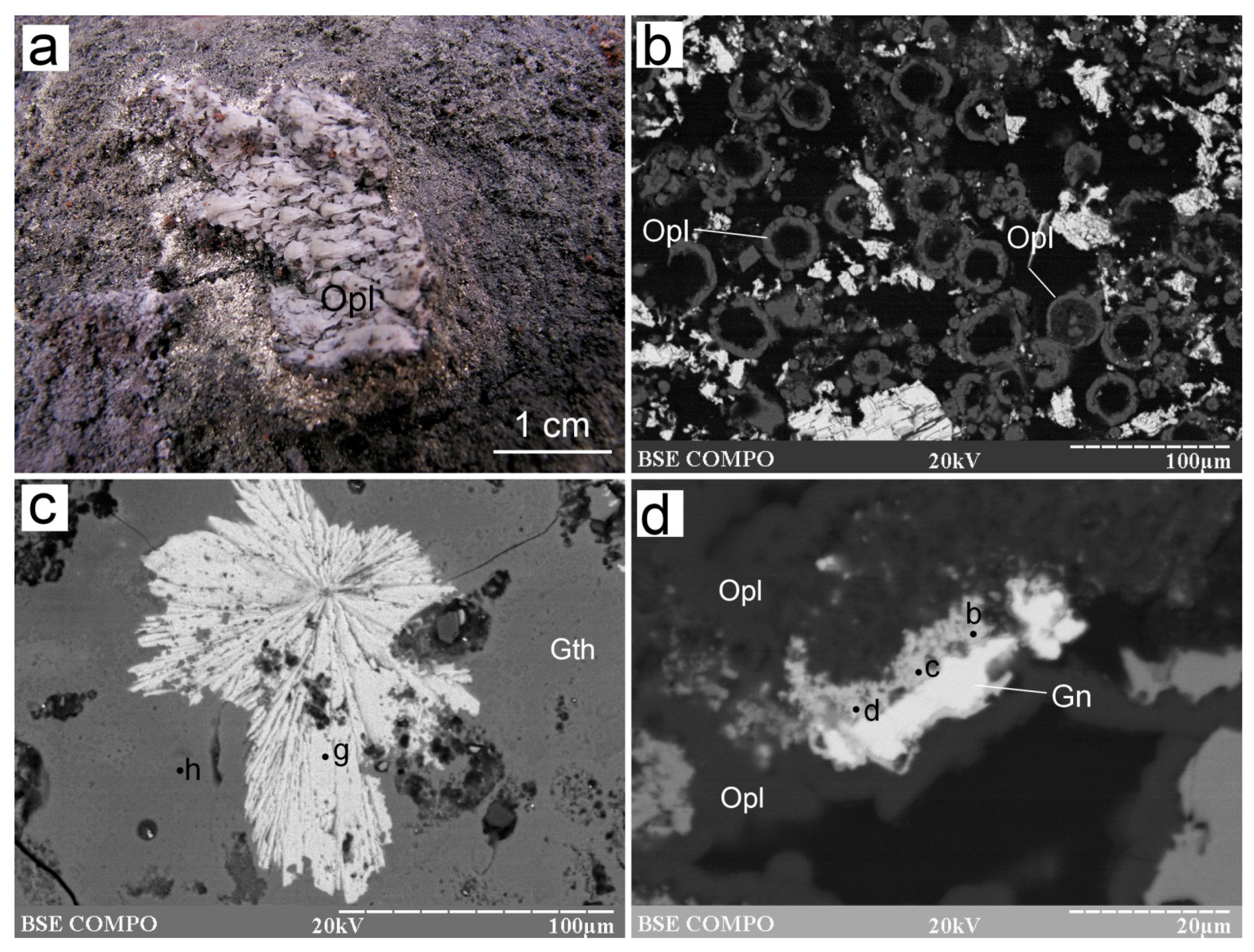 Minerals 12 01626 g010 Minerals 12 01626 g010
