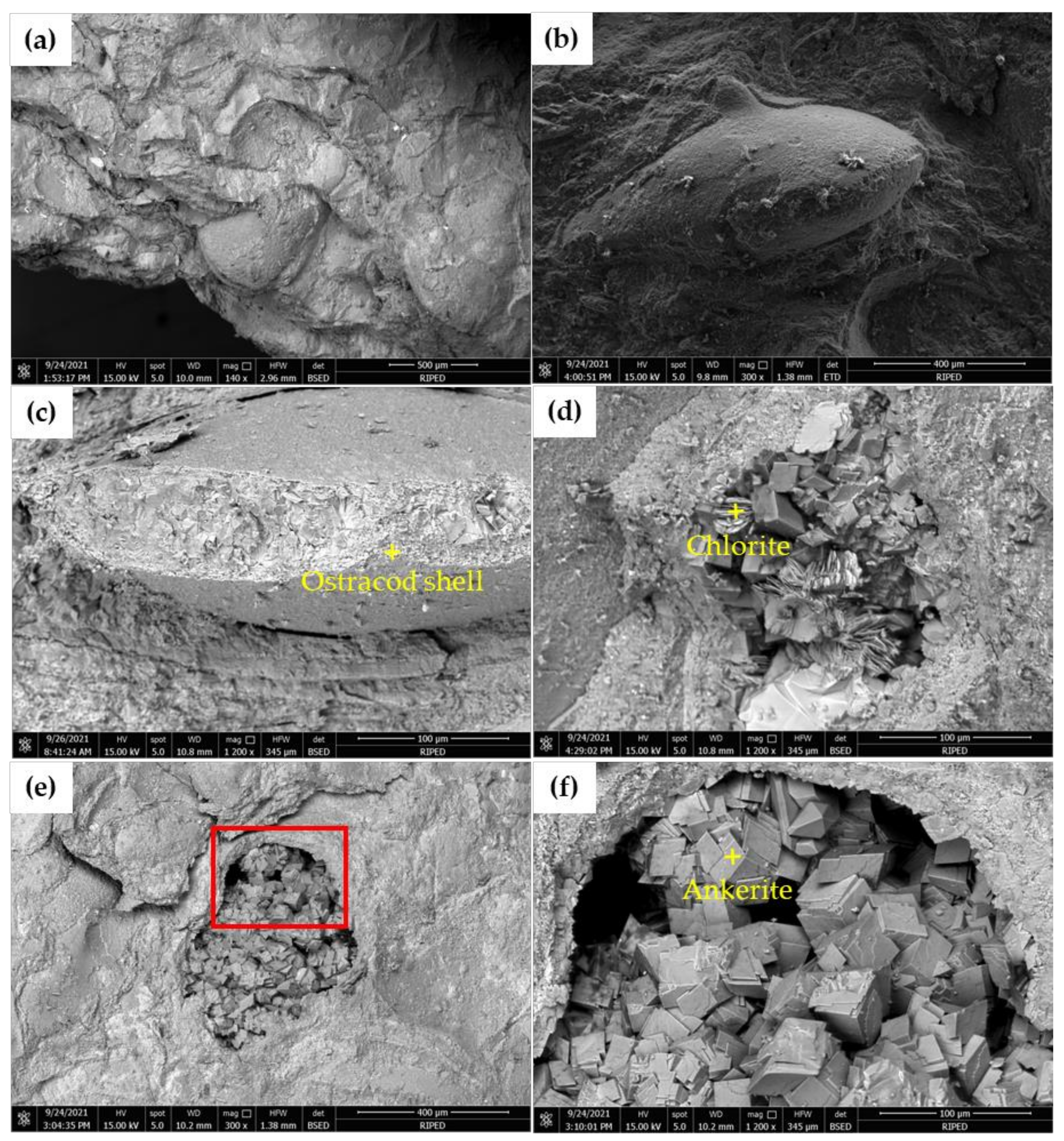 Minerals 13 00005 g004