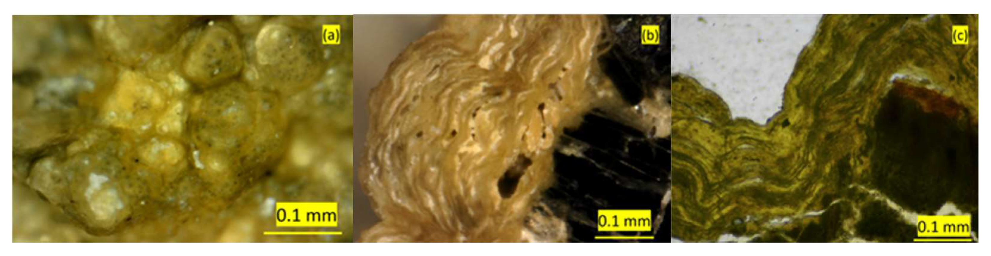 Minerals 13 00048 g004 Minerals 13 00048 g004