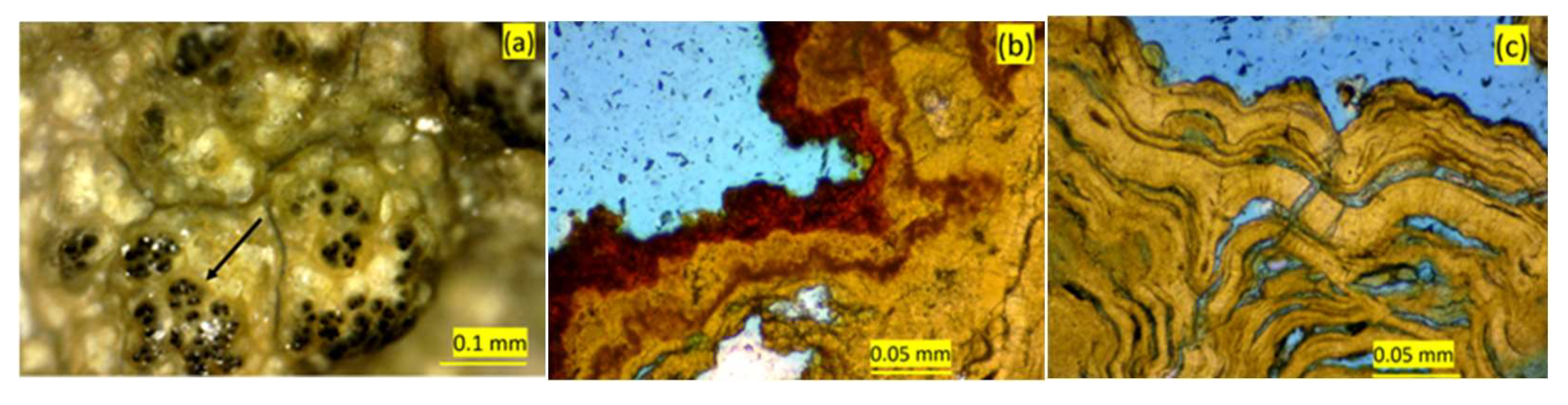 Minerals 13 00048 g005 Minerals 13 00048 g005