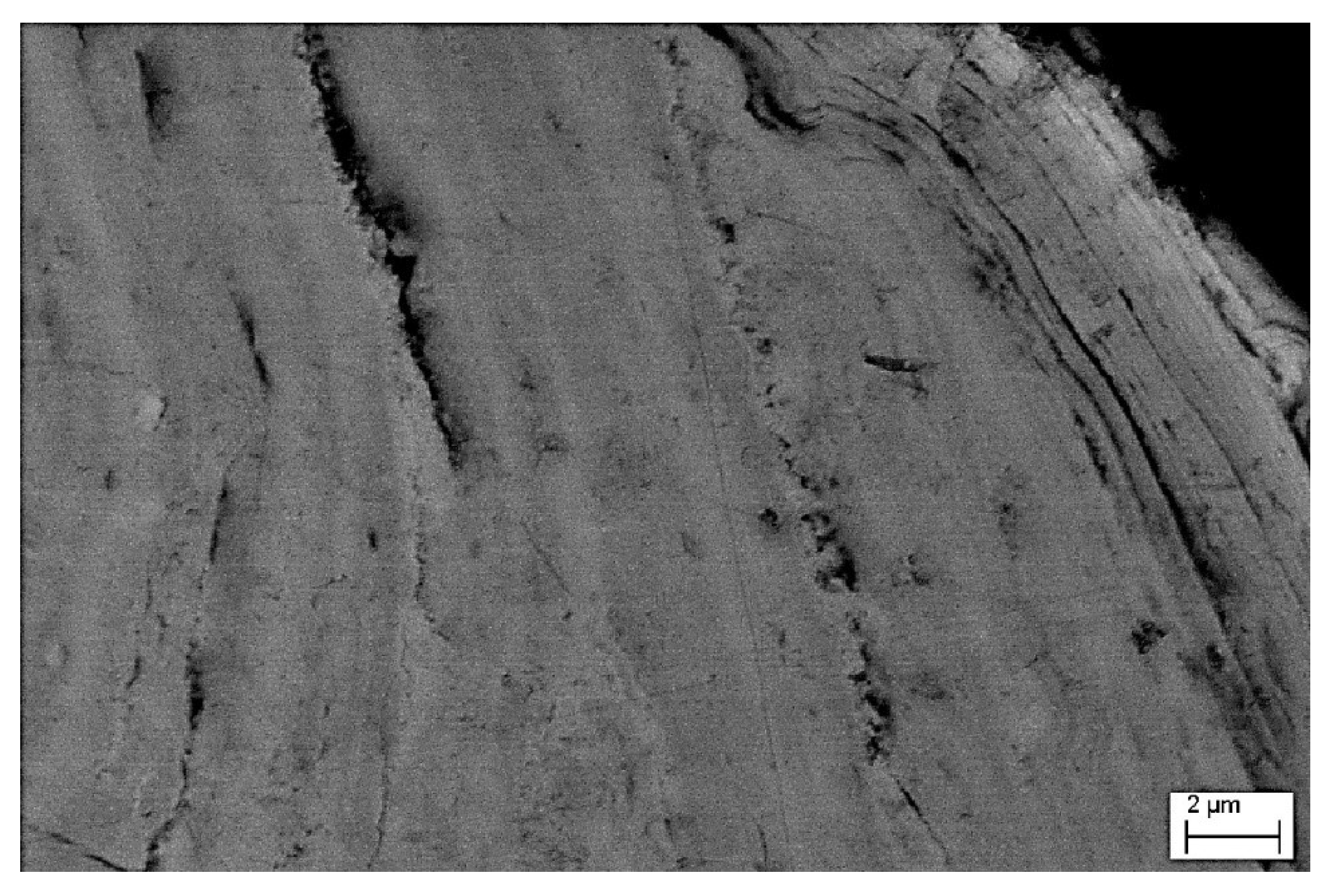 Minerals 13 00048 g006 Minerals 13 00048 g006