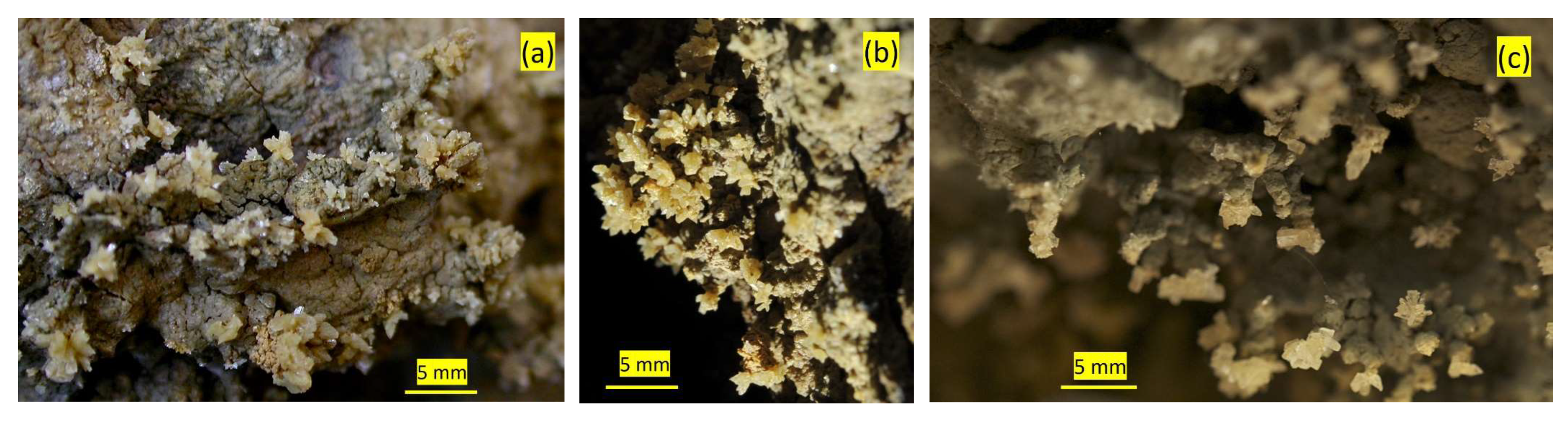 Minerals 13 00048 g007 Minerals 13 00048 g007