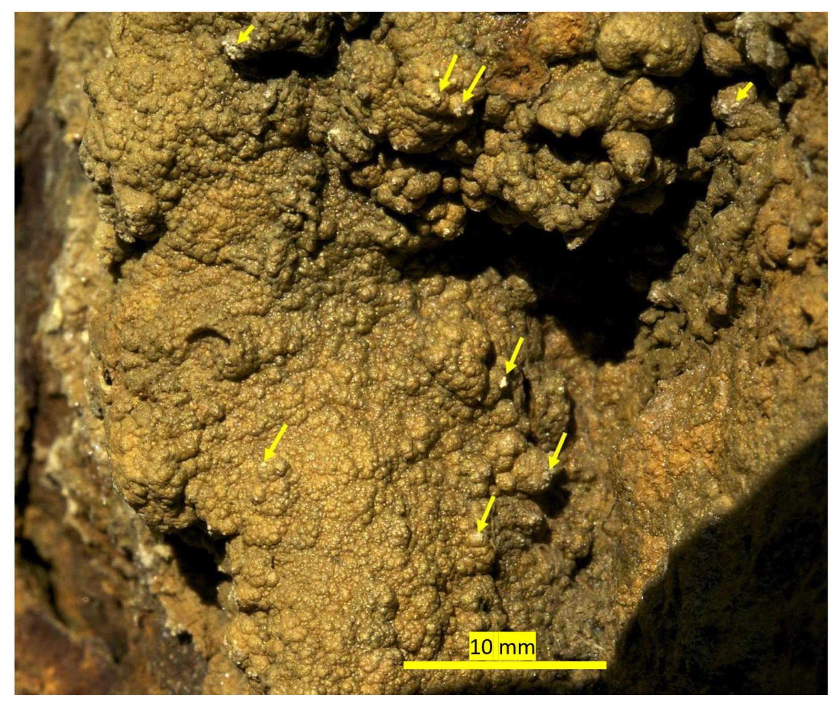 Minerals 13 00048 g020 Minerals 13 00048 g020