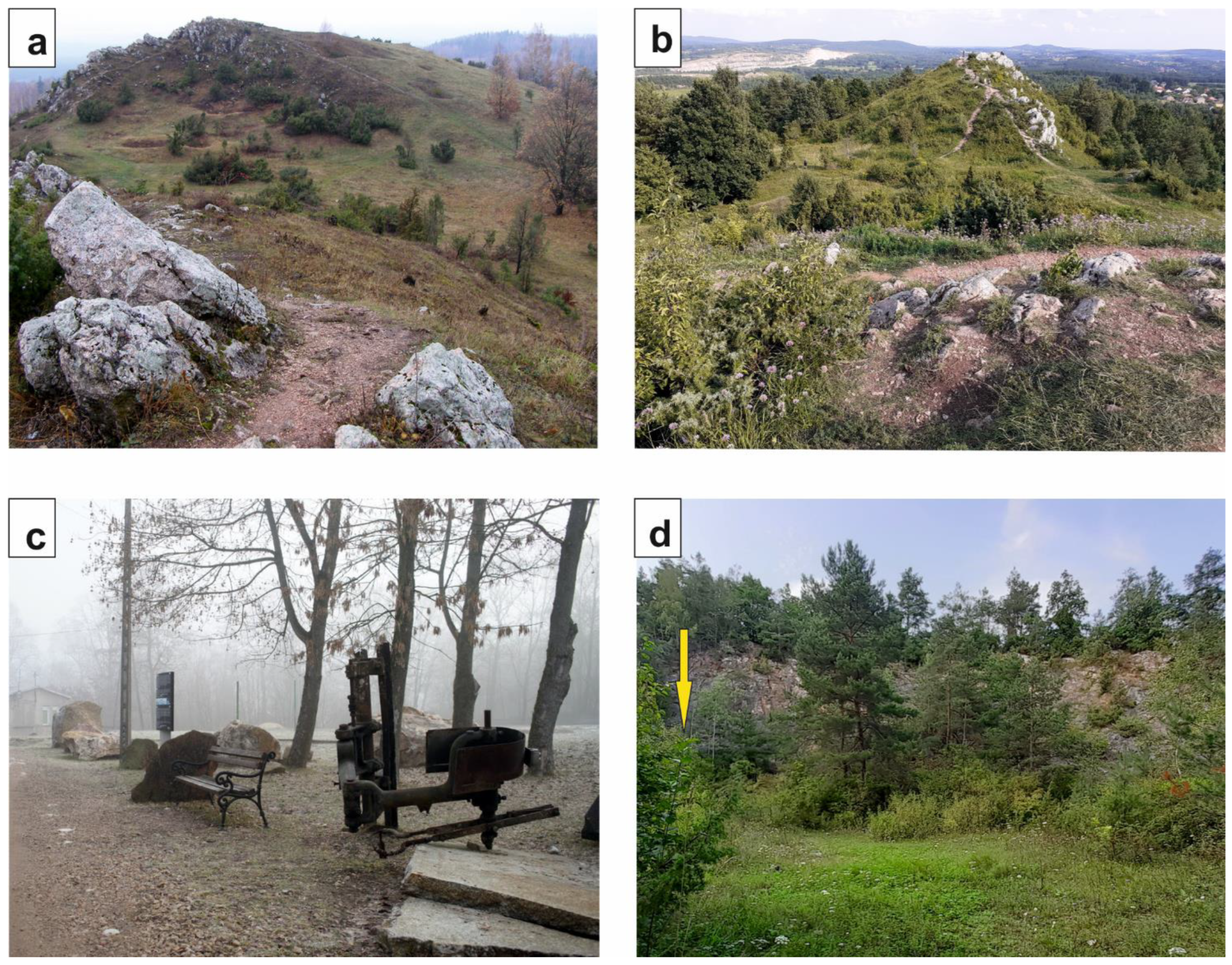 Minerals 13 00054 g002 Minerals 13 00054 g002