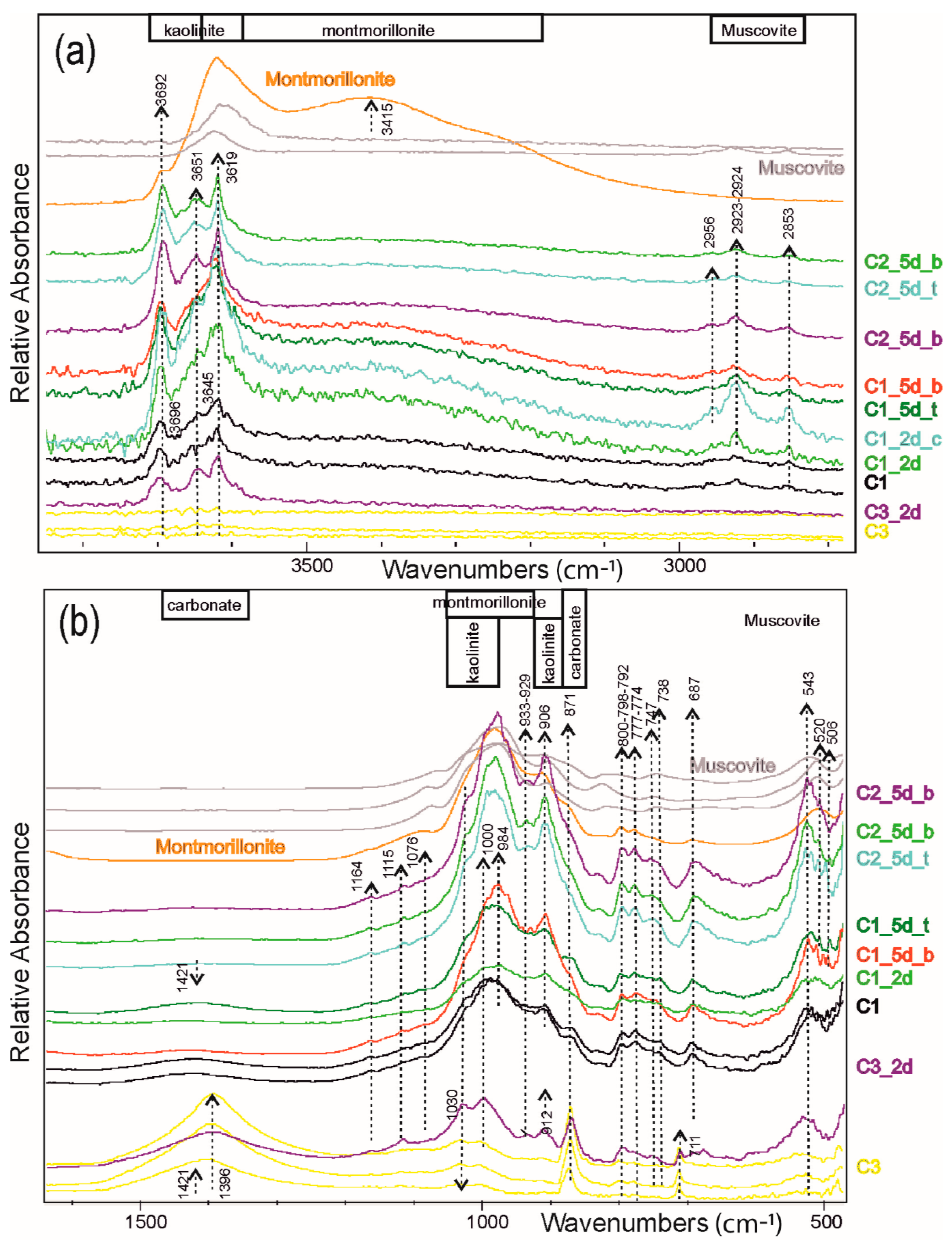 Minerals 13 00056 g004