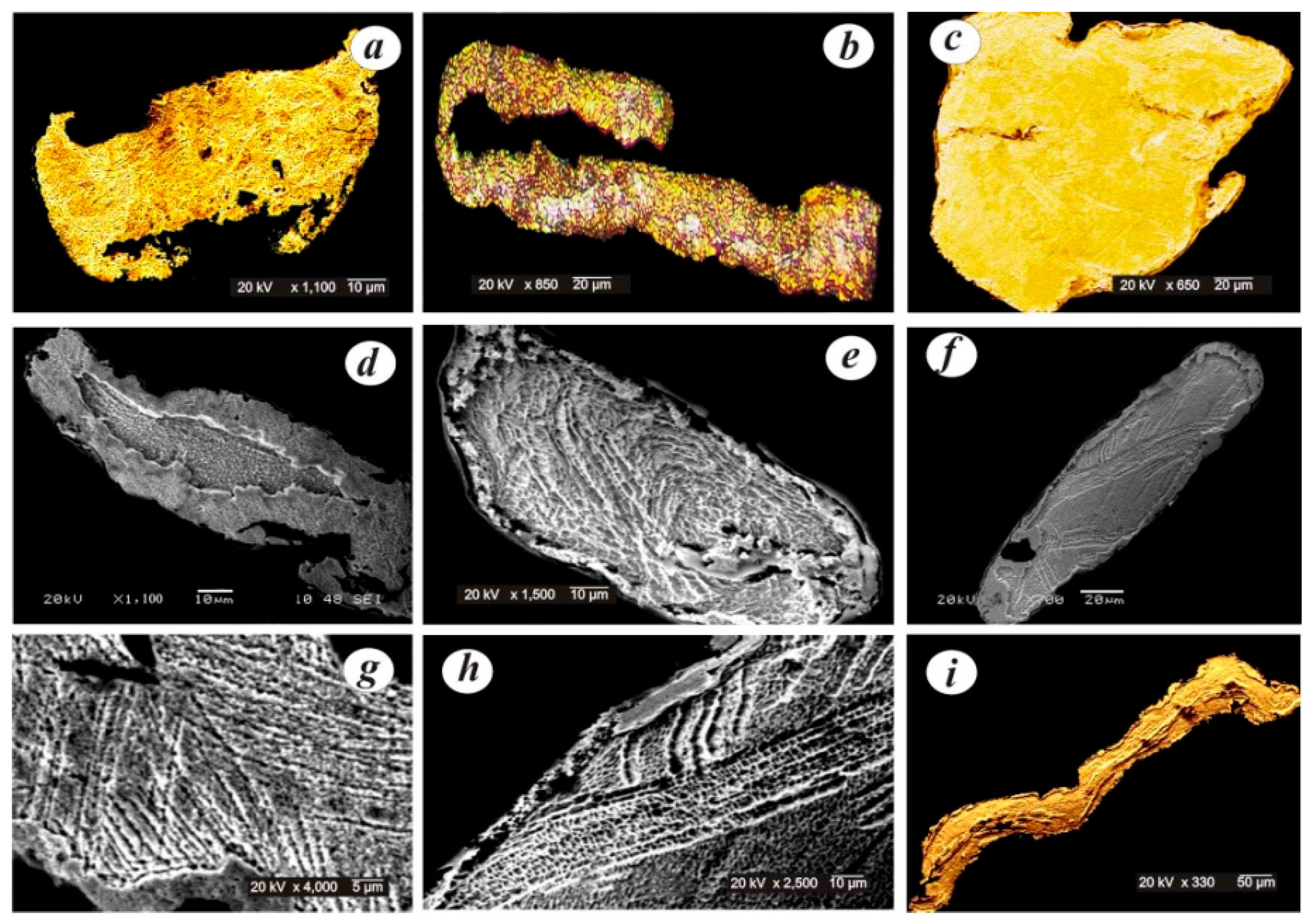 Minerals 13 00068 g002
