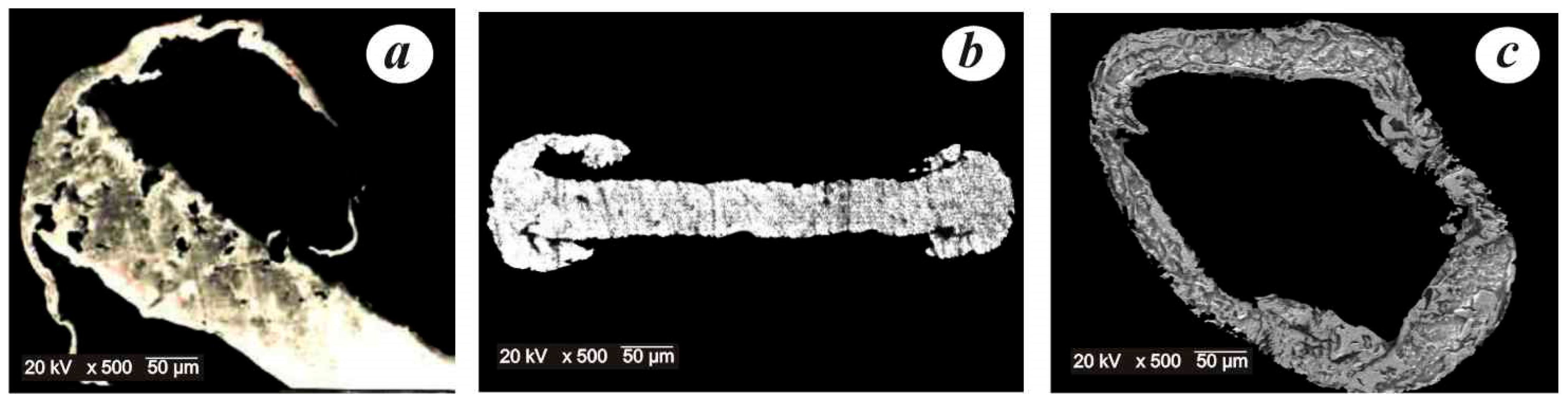 Minerals 13 00068 g006