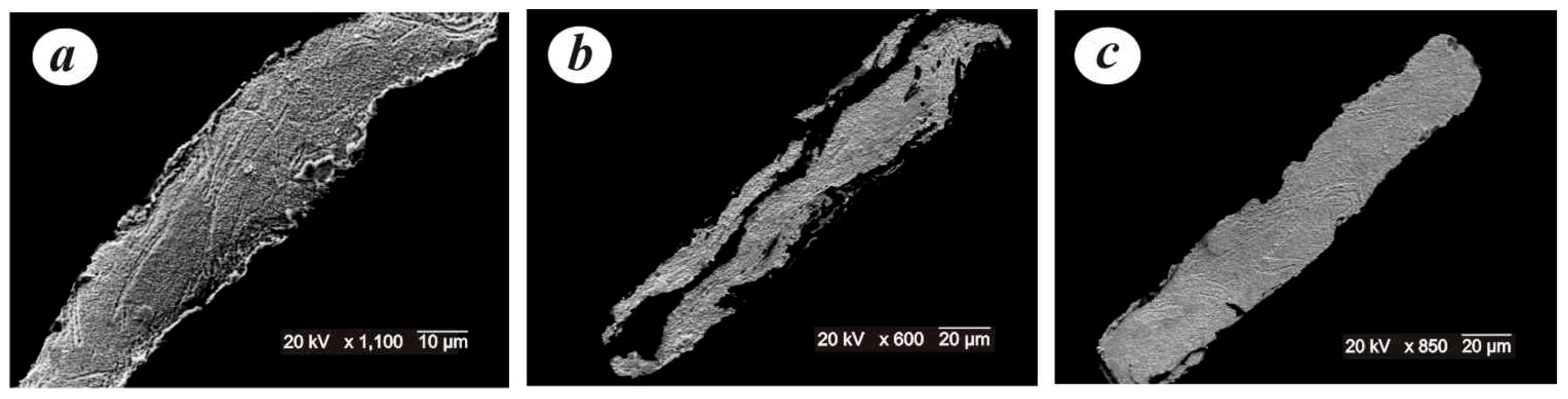 Minerals 13 00068 g007