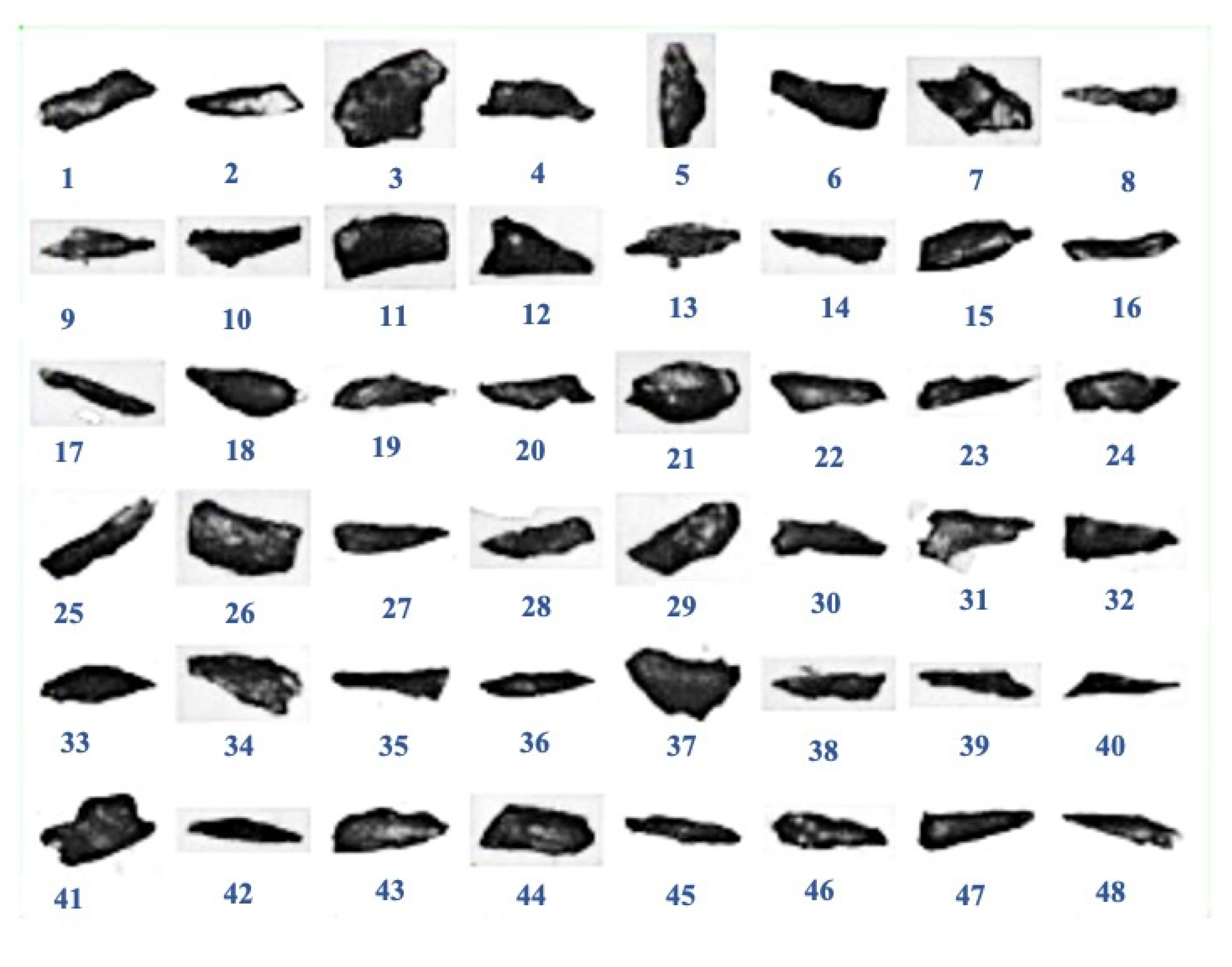 Minerals 13 00091 g018 Minerals 13 00091 g018