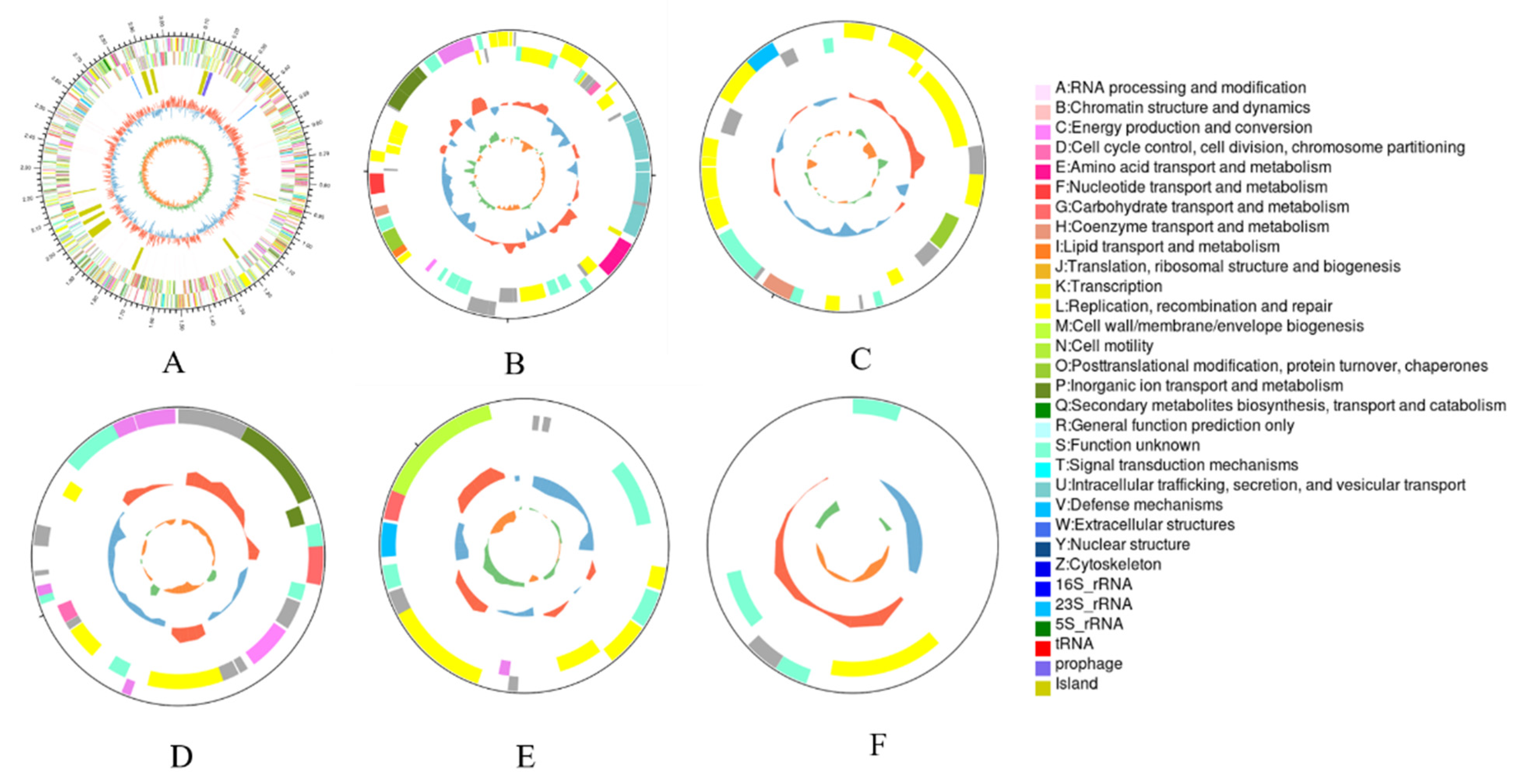 Minerals 13 00095 g003 Minerals 13 00095 g003