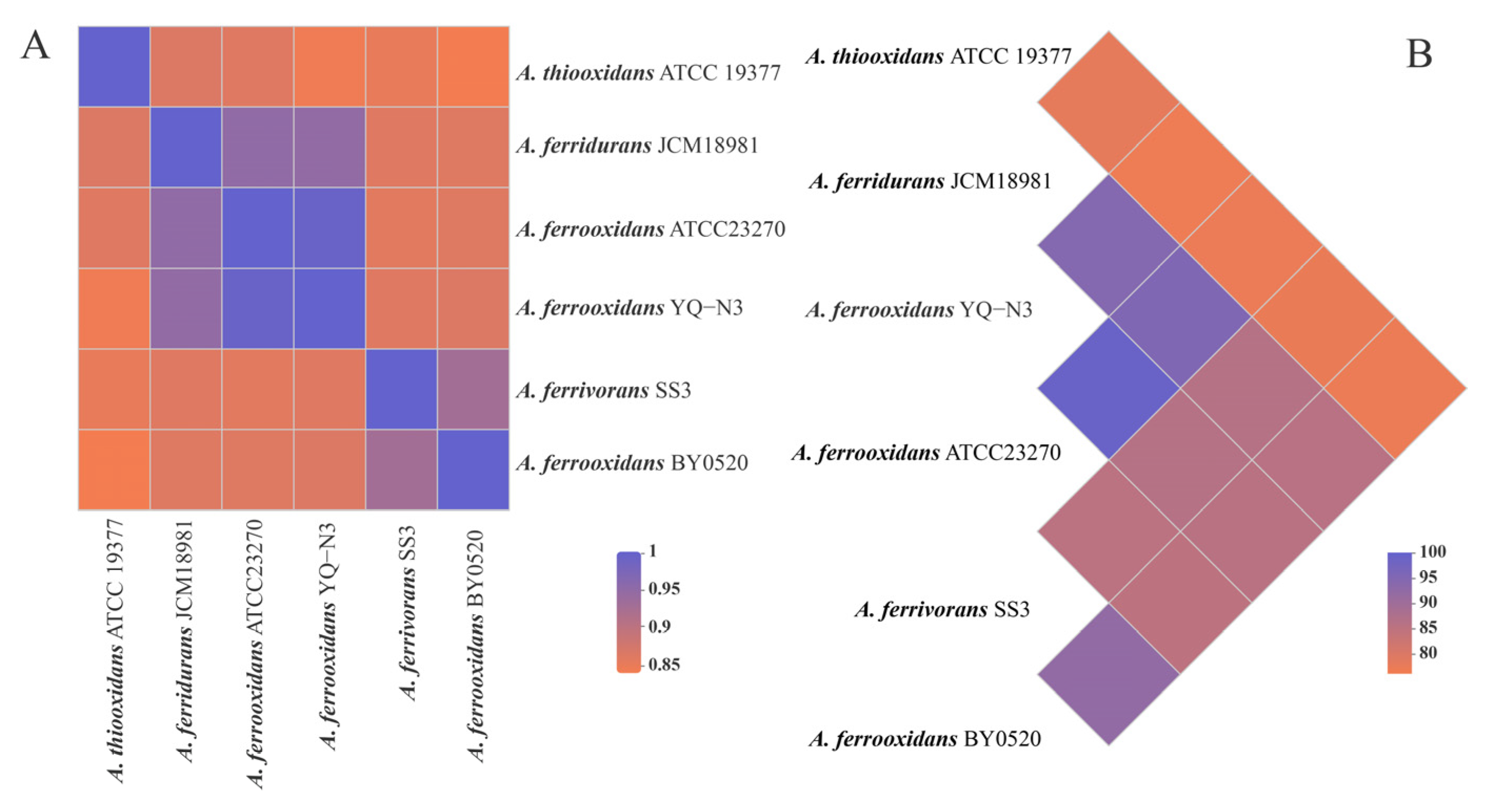 Minerals 13 00095 g004 Minerals 13 00095 g004