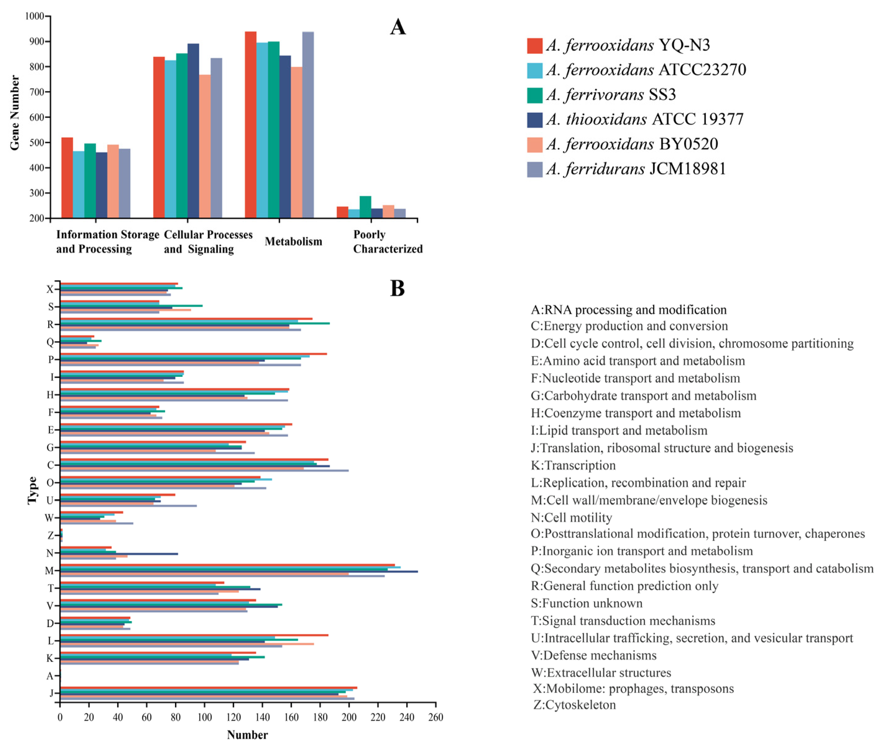 Minerals 13 00095 g007 Minerals 13 00095 g007