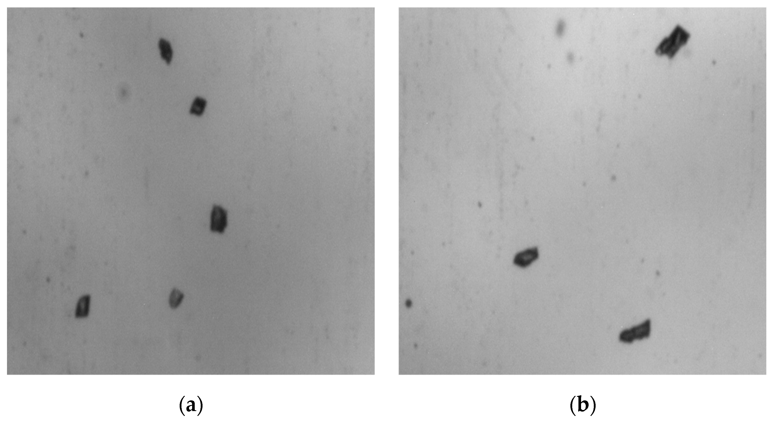 Minerals 13 00099 g010